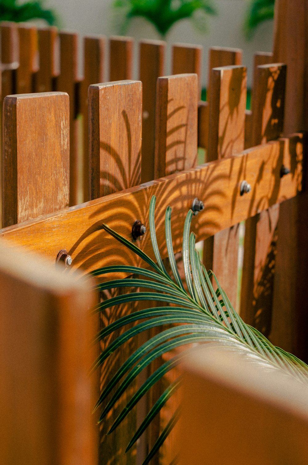 a close up of the back of a wooden church pew