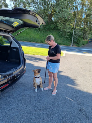 A woman stands on a paved area beside an open car trunk holding a leash attached to a seated brown and white dog. Trees and greenery create a natural backdrop, and the scene is illuminated by bright daylight.