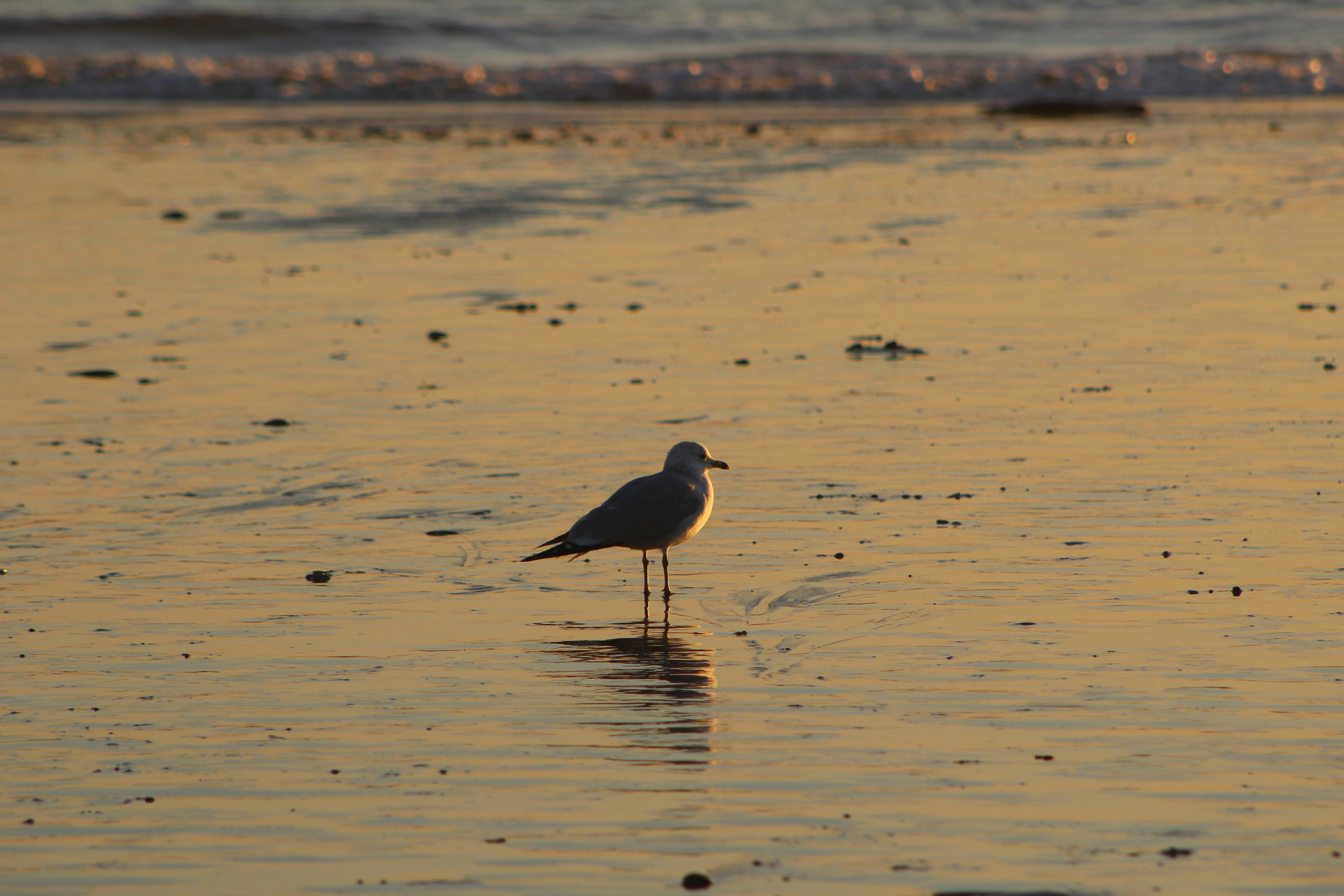 Photo by duckynguyen3