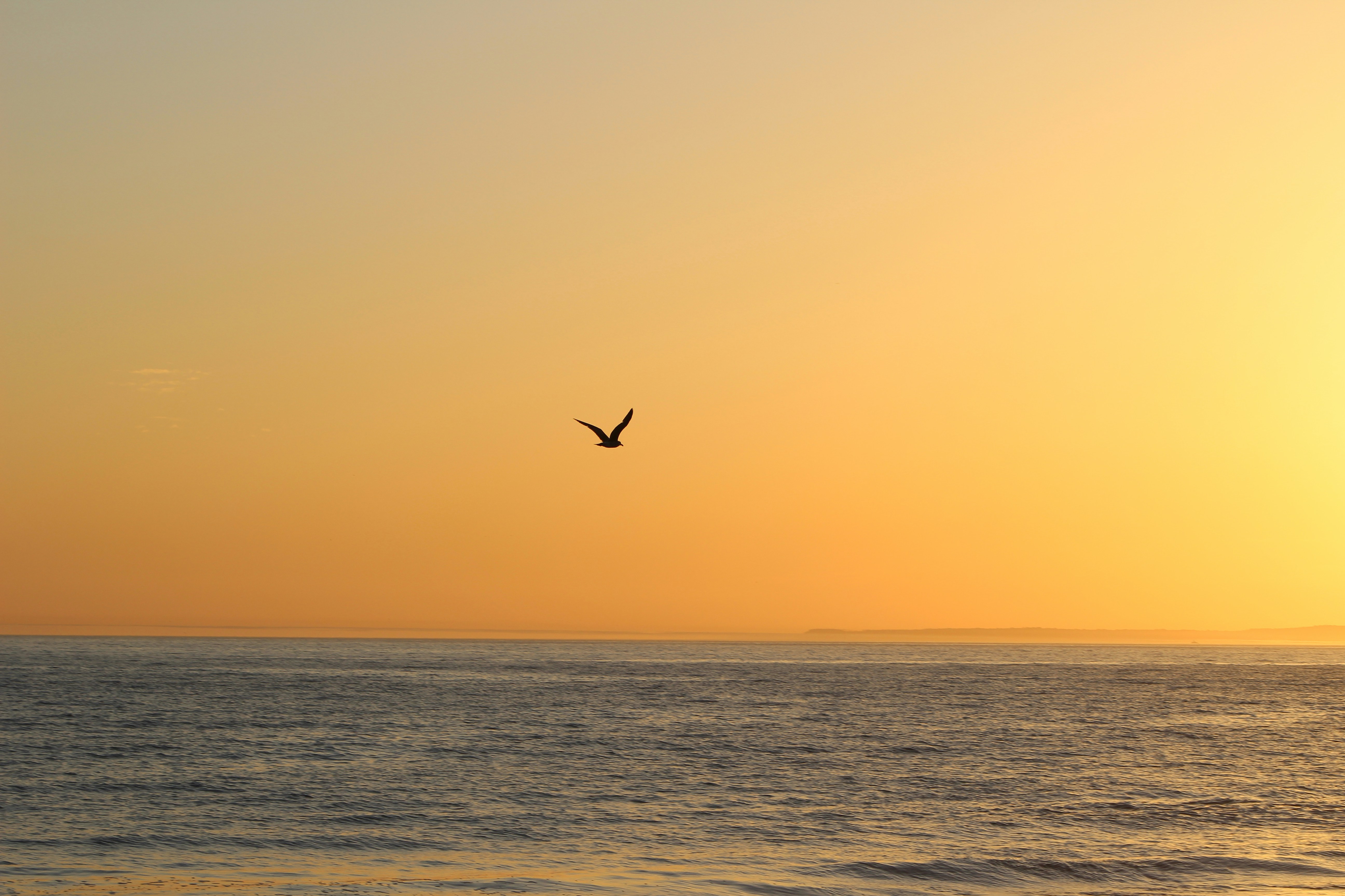 Photo by duckynguyen3