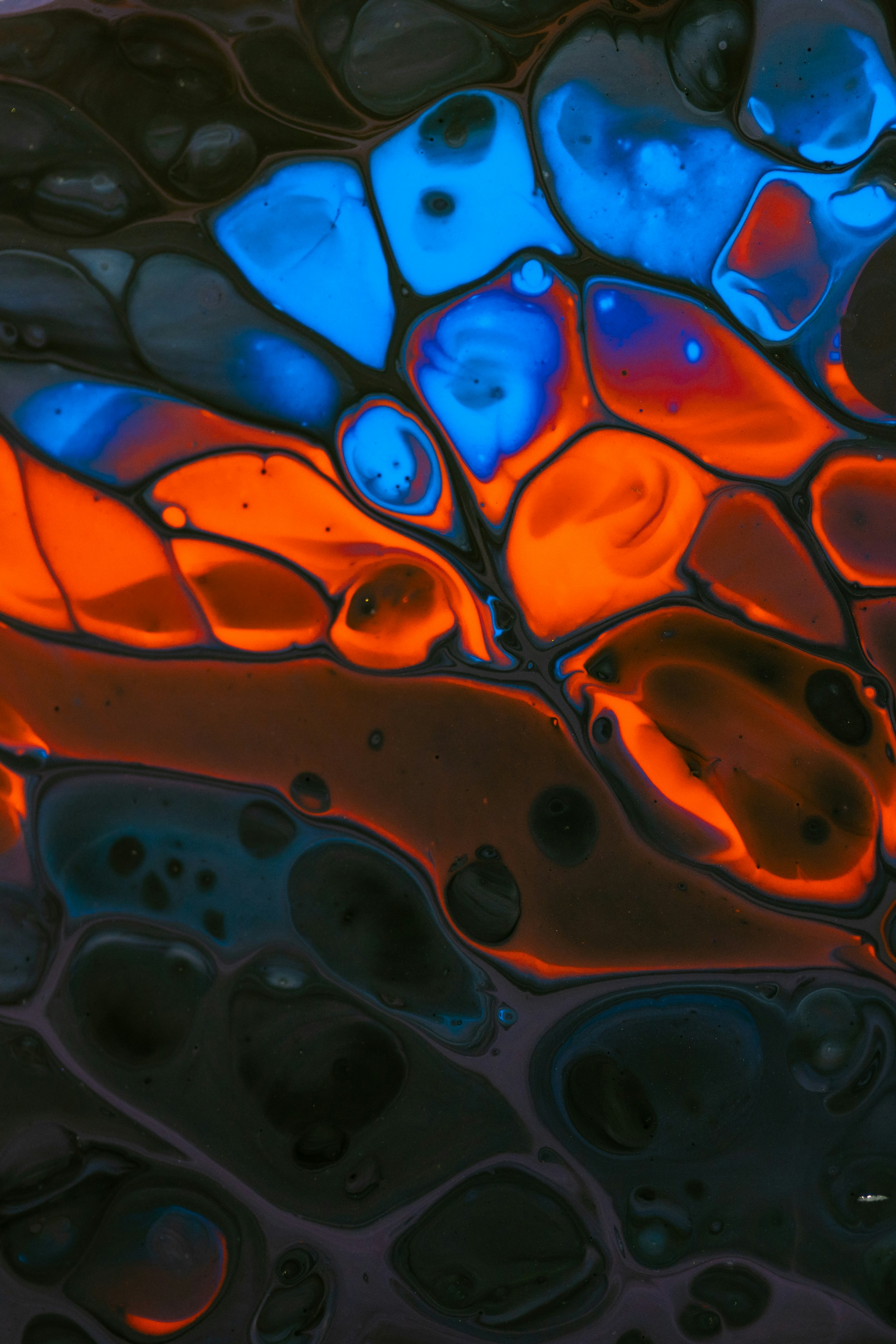 Photo by solenfeyissa