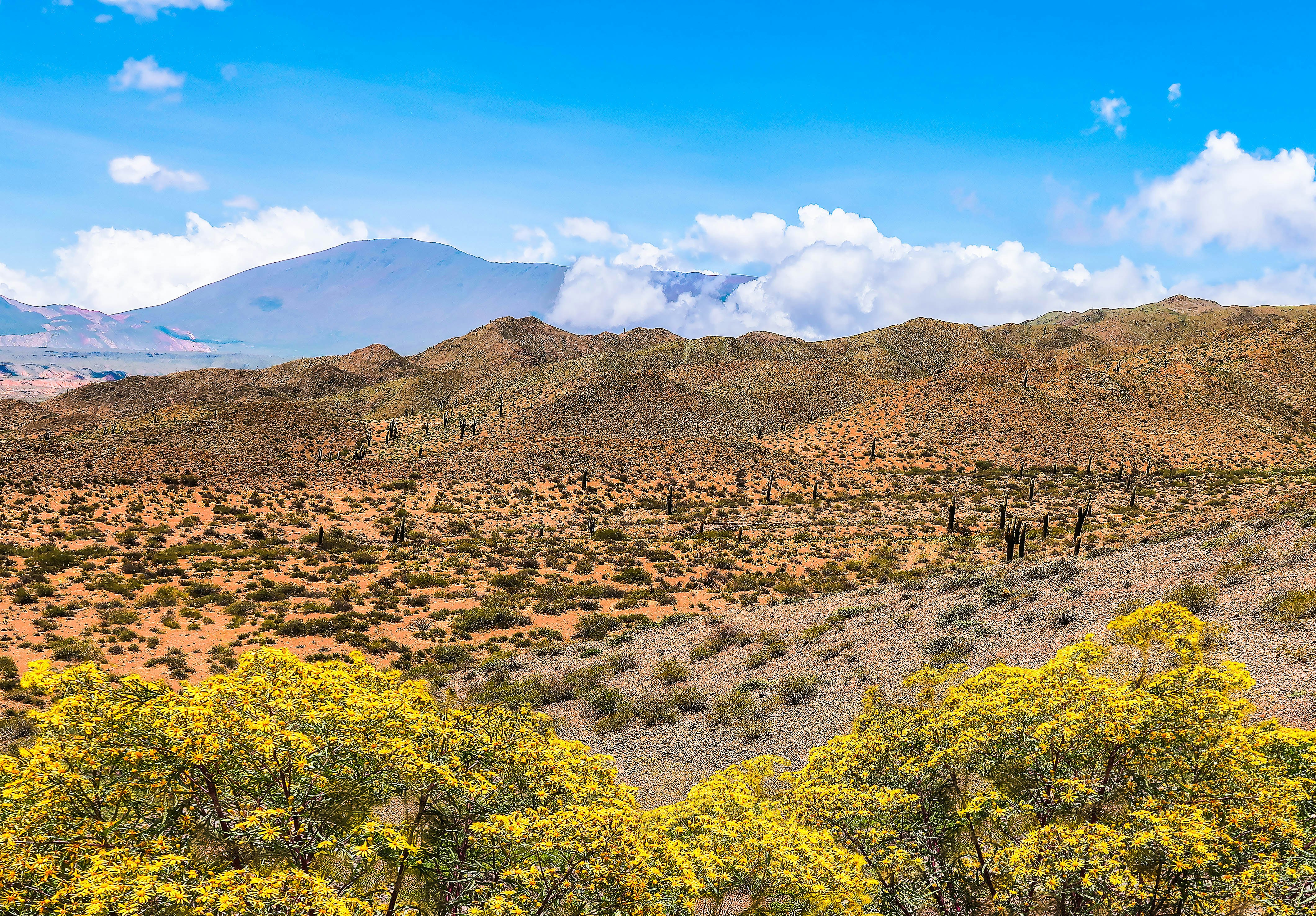 Photo by argentinanatural