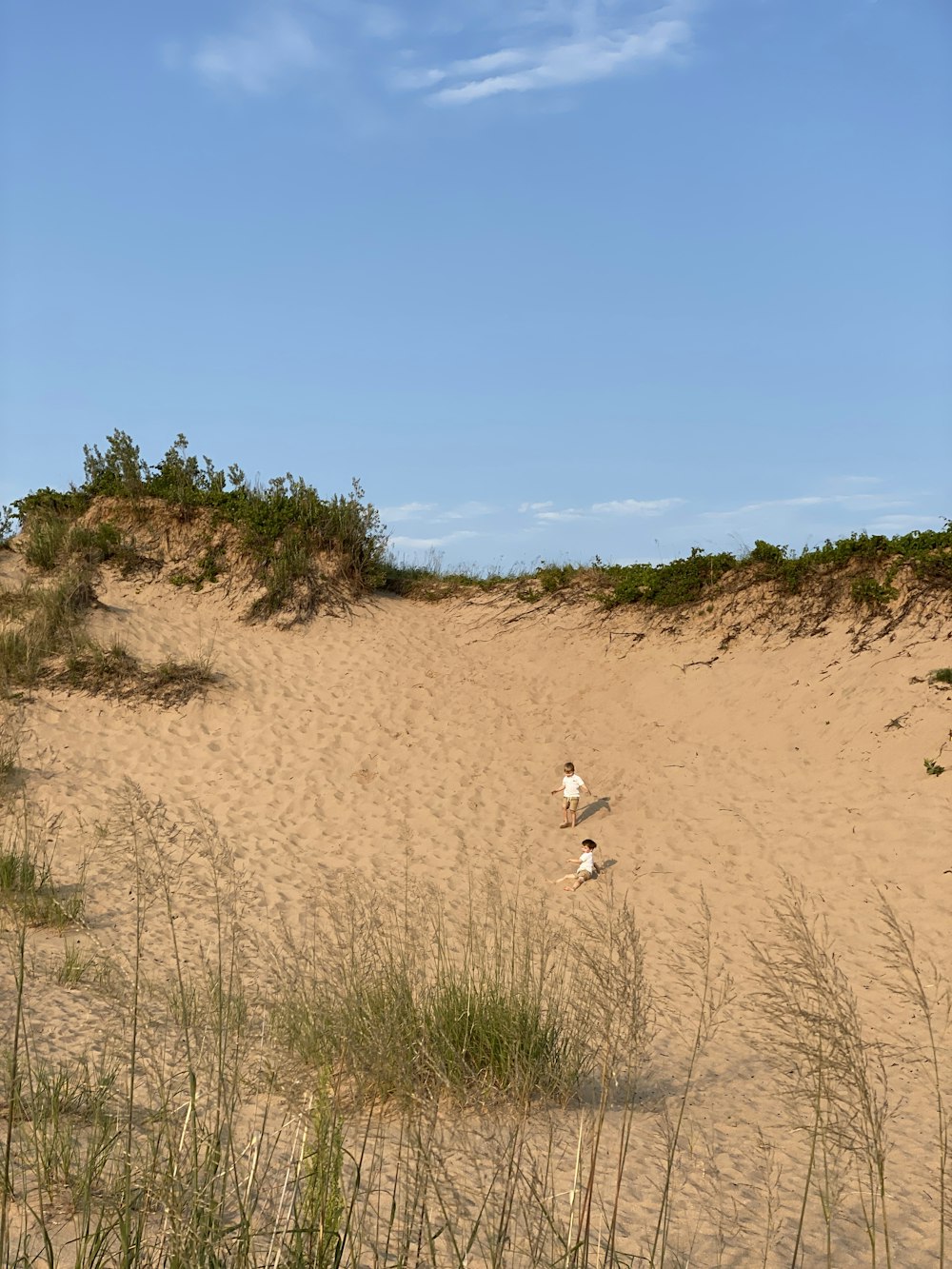 a person standing on top of a sandy beach