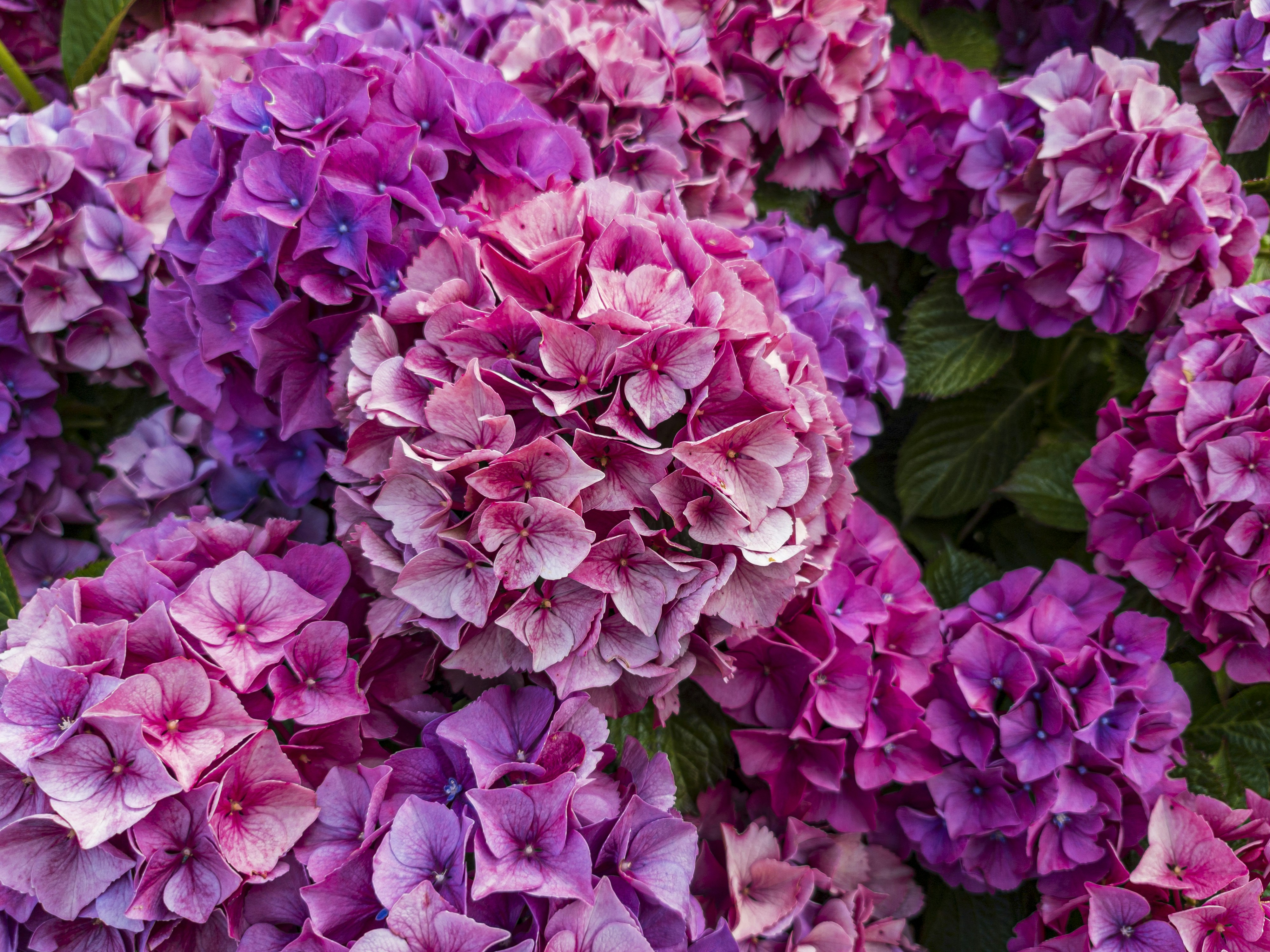 Photo by duskfallcrew