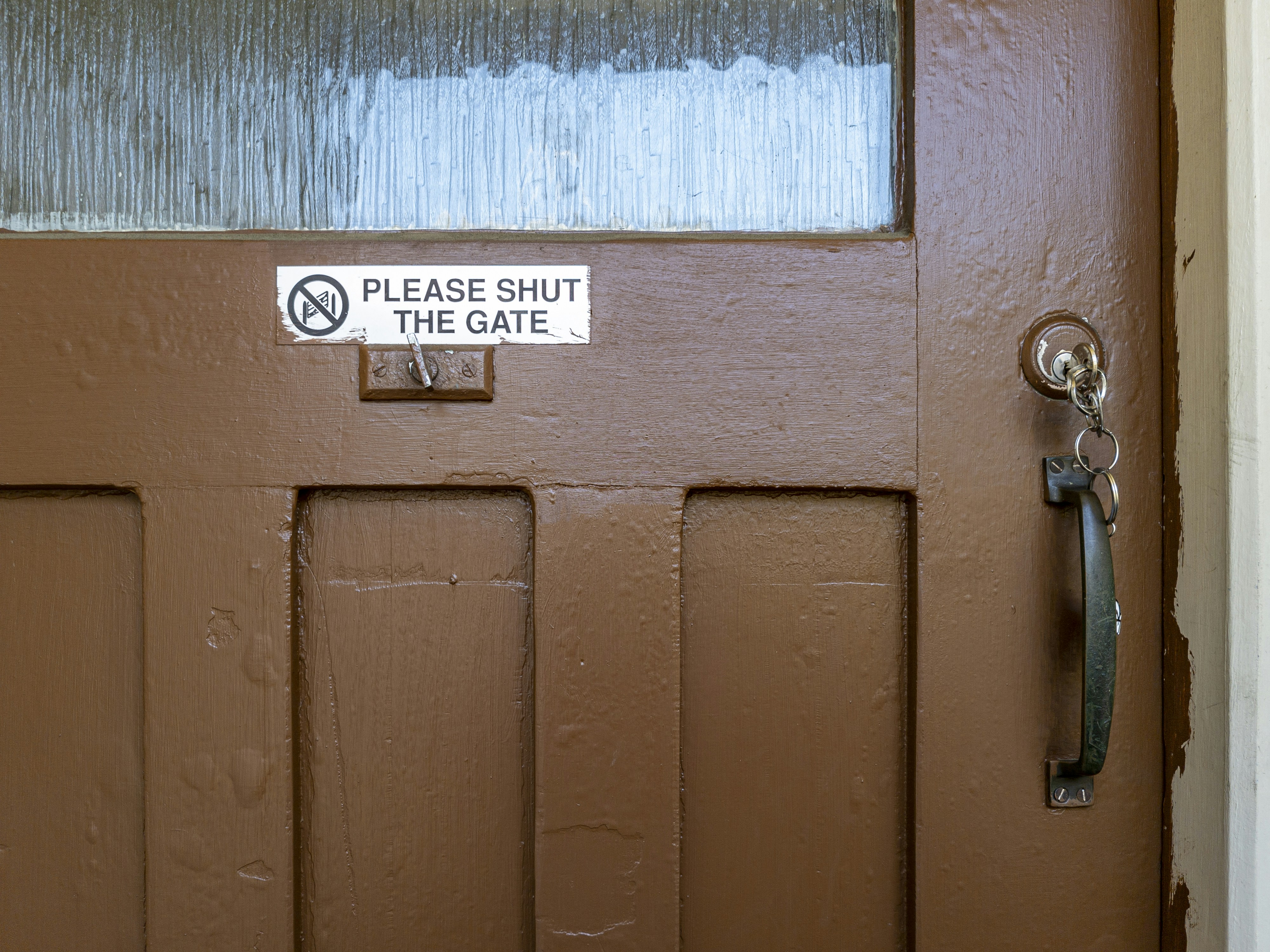 Photo by duskfallcrew