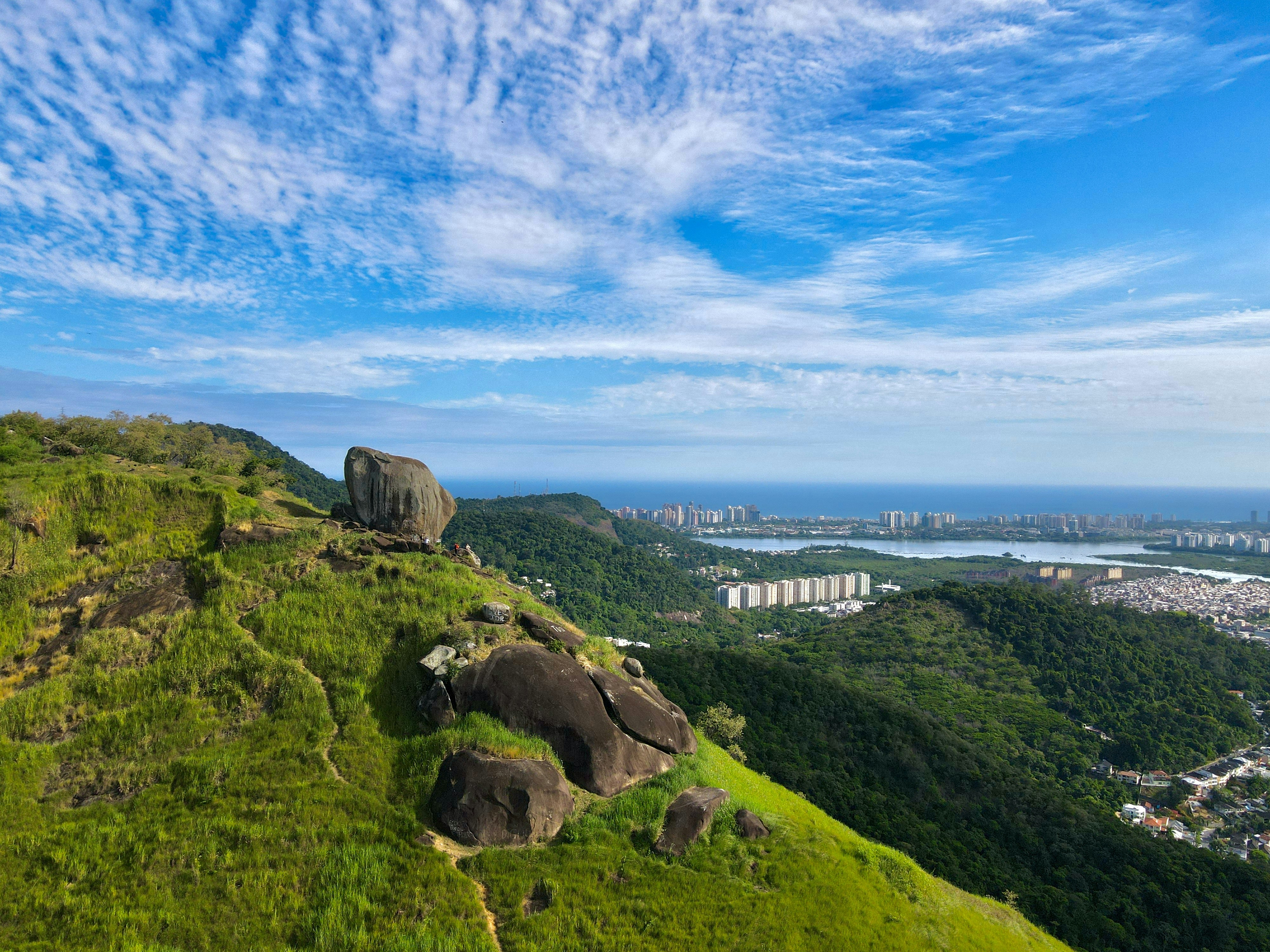 an elephant standing on top of a lush green hillside