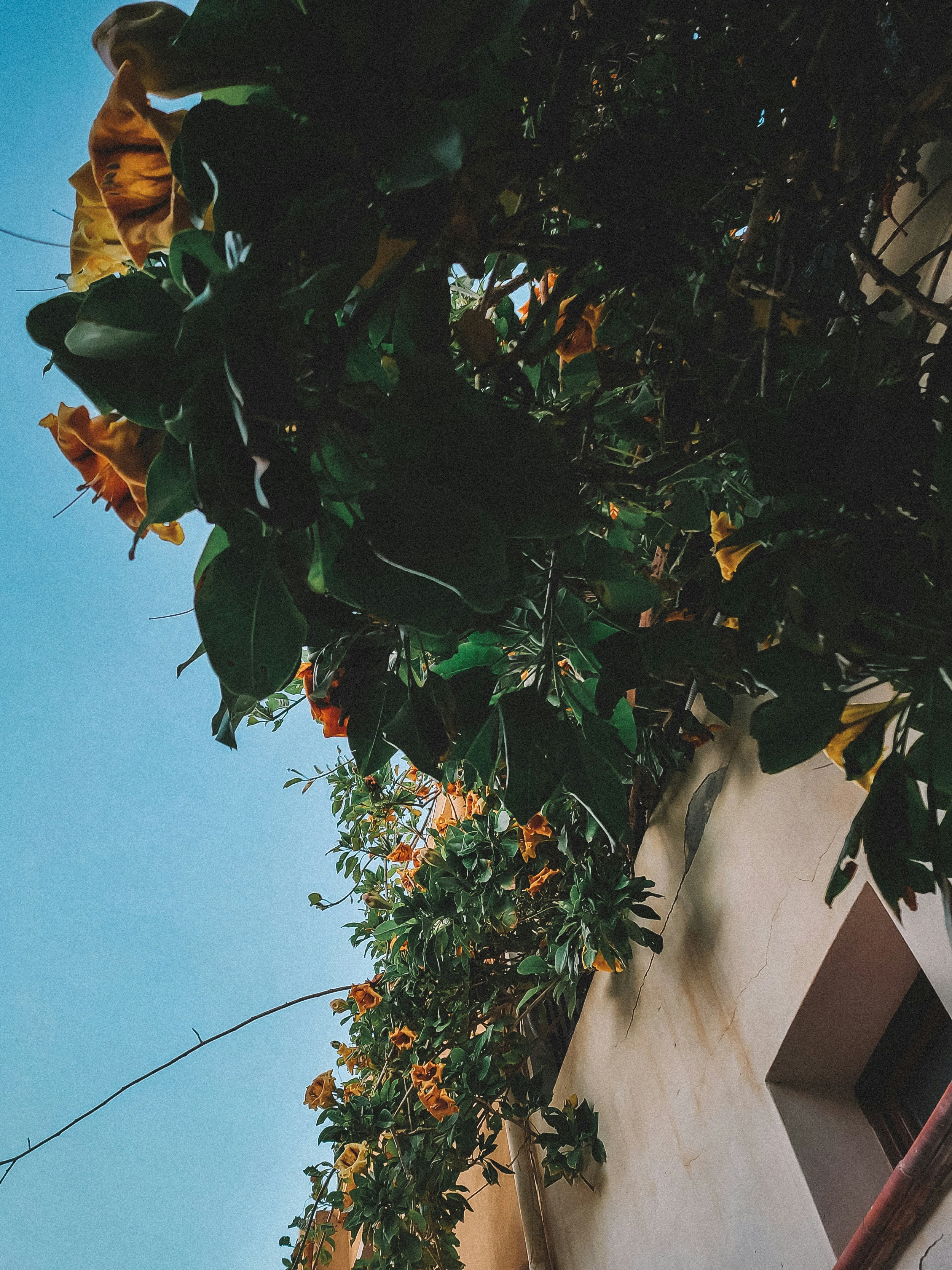 Photo by curiouscaptures