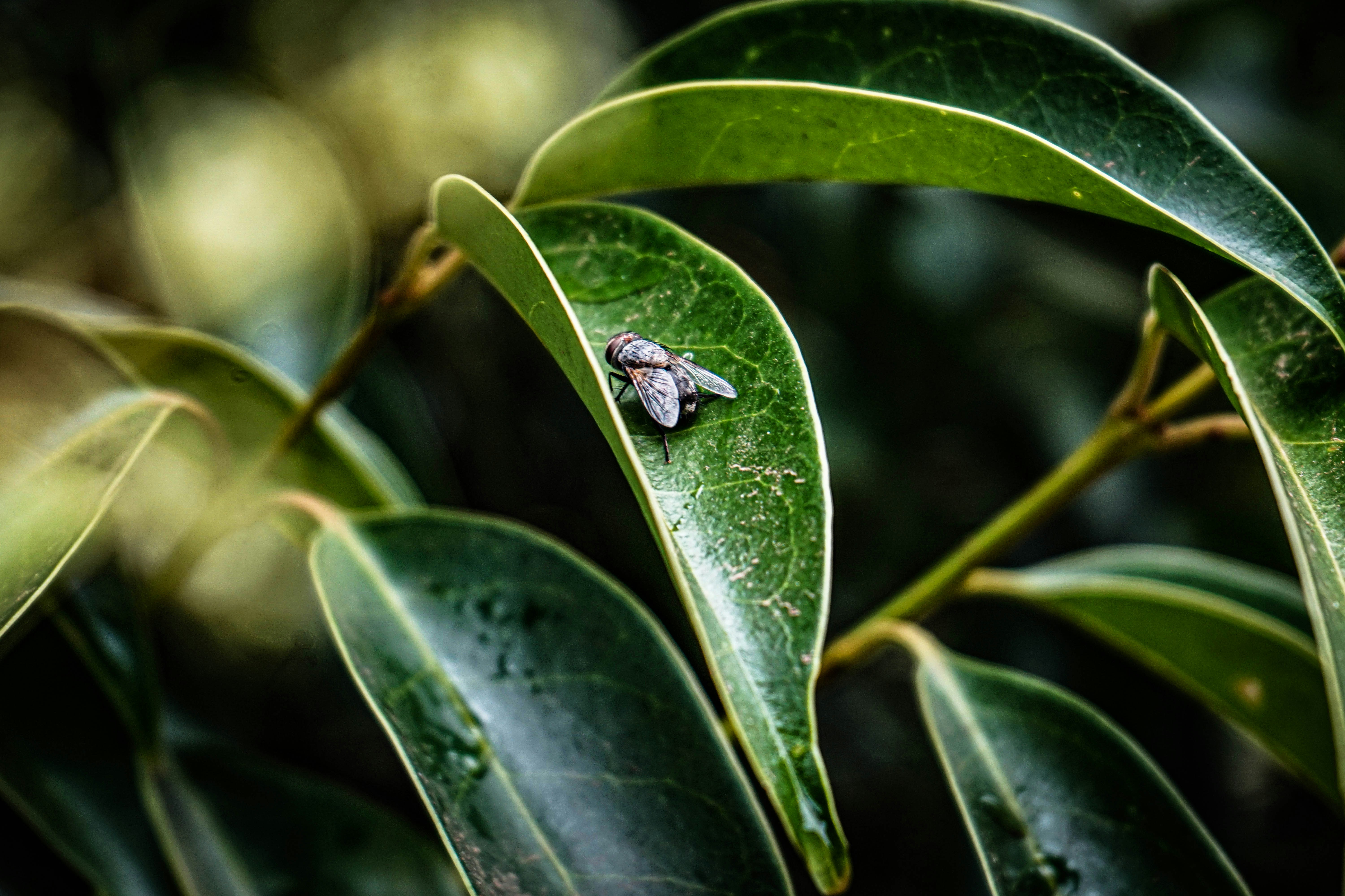 Photo by thedrinkbreak