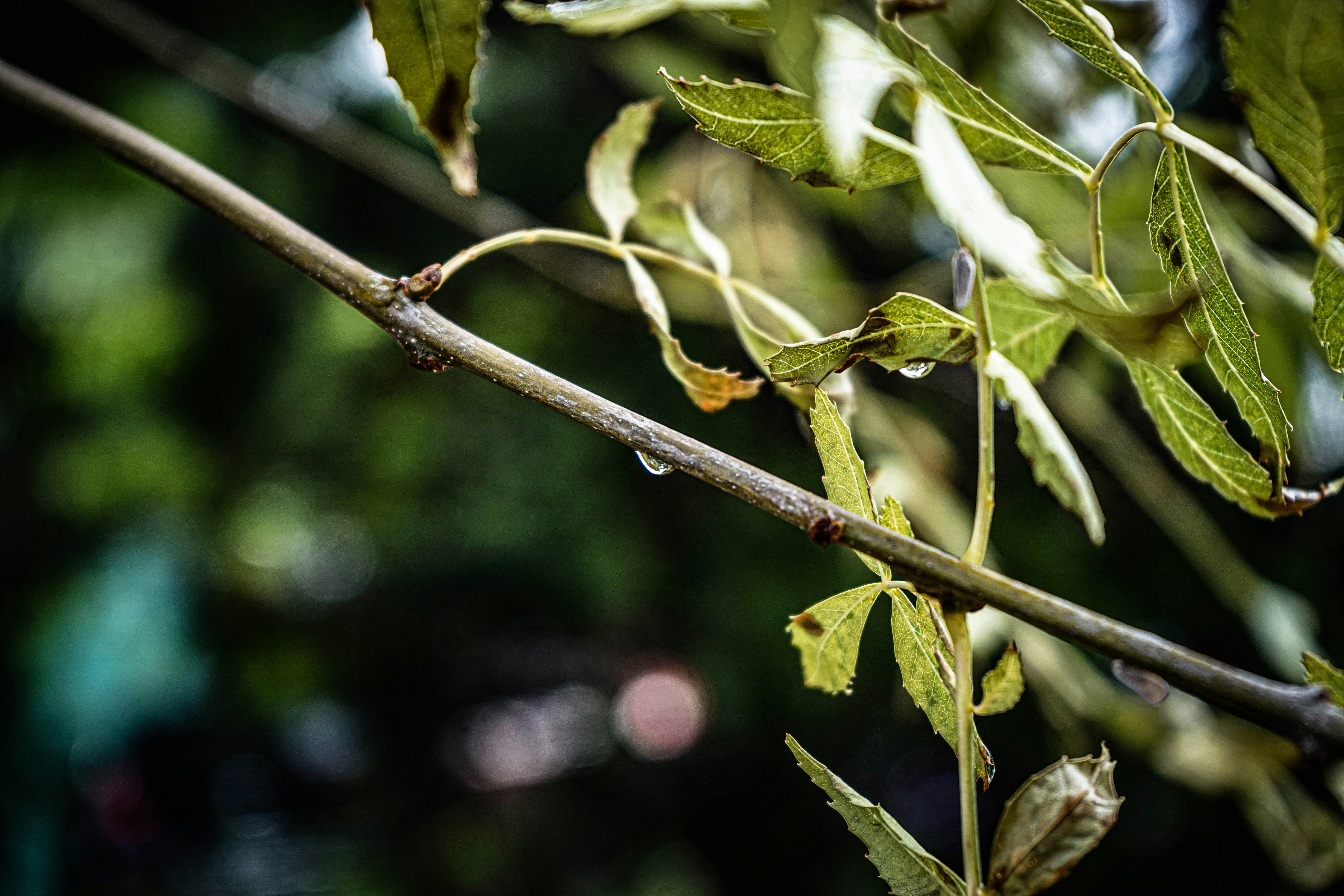 Photo by thedrinkbreak