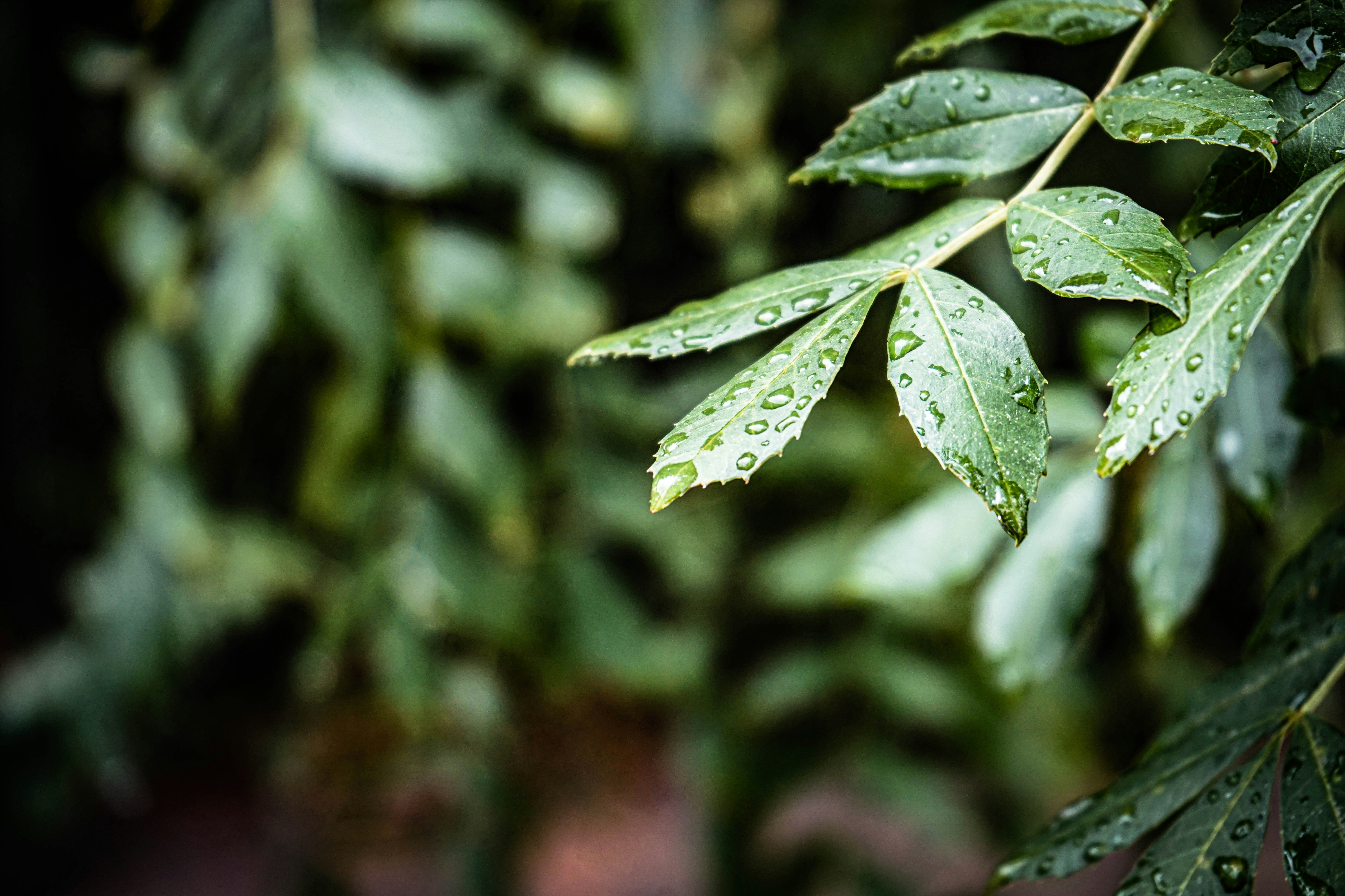 Photo by thedrinkbreak