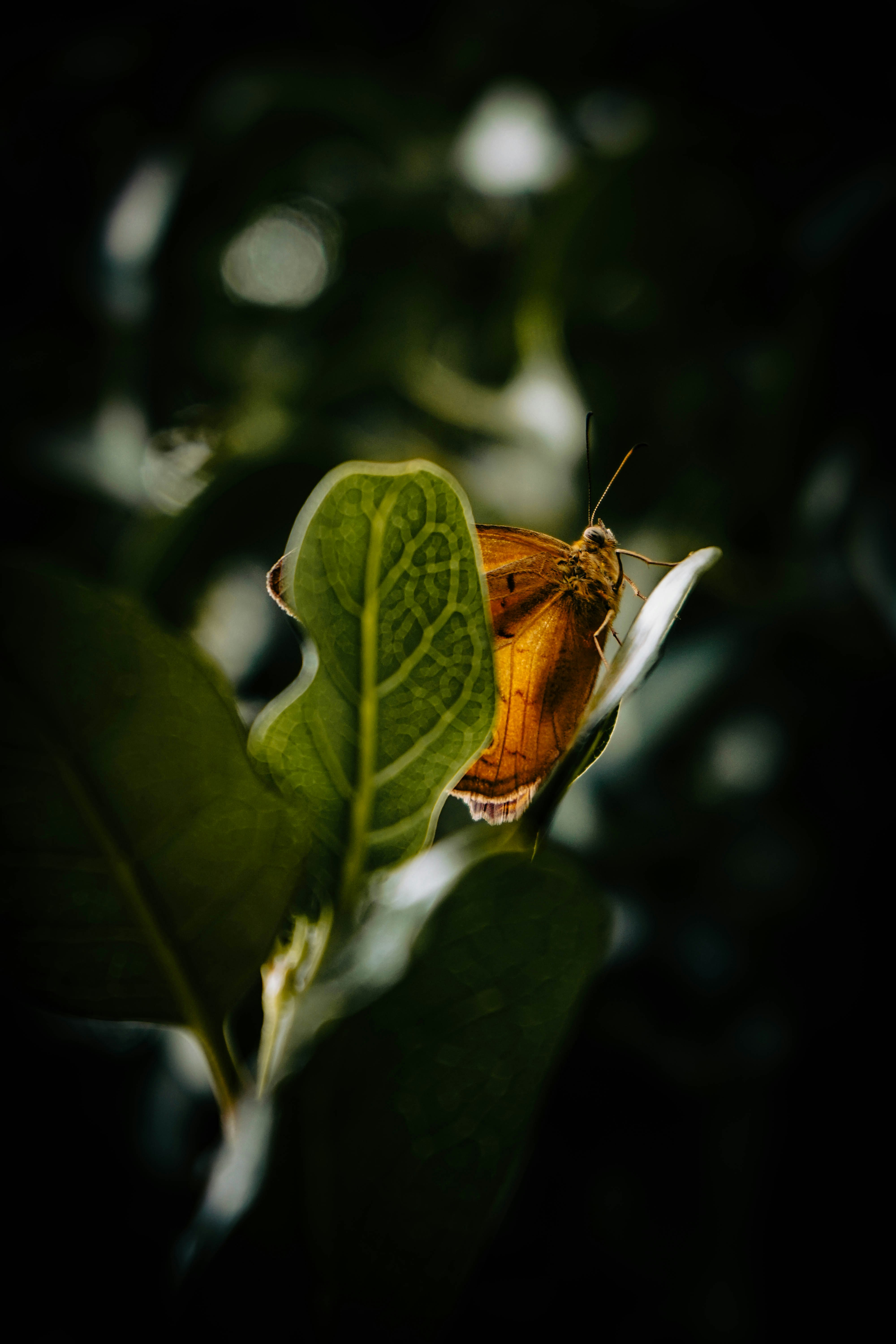 Photo by thedrinkbreak