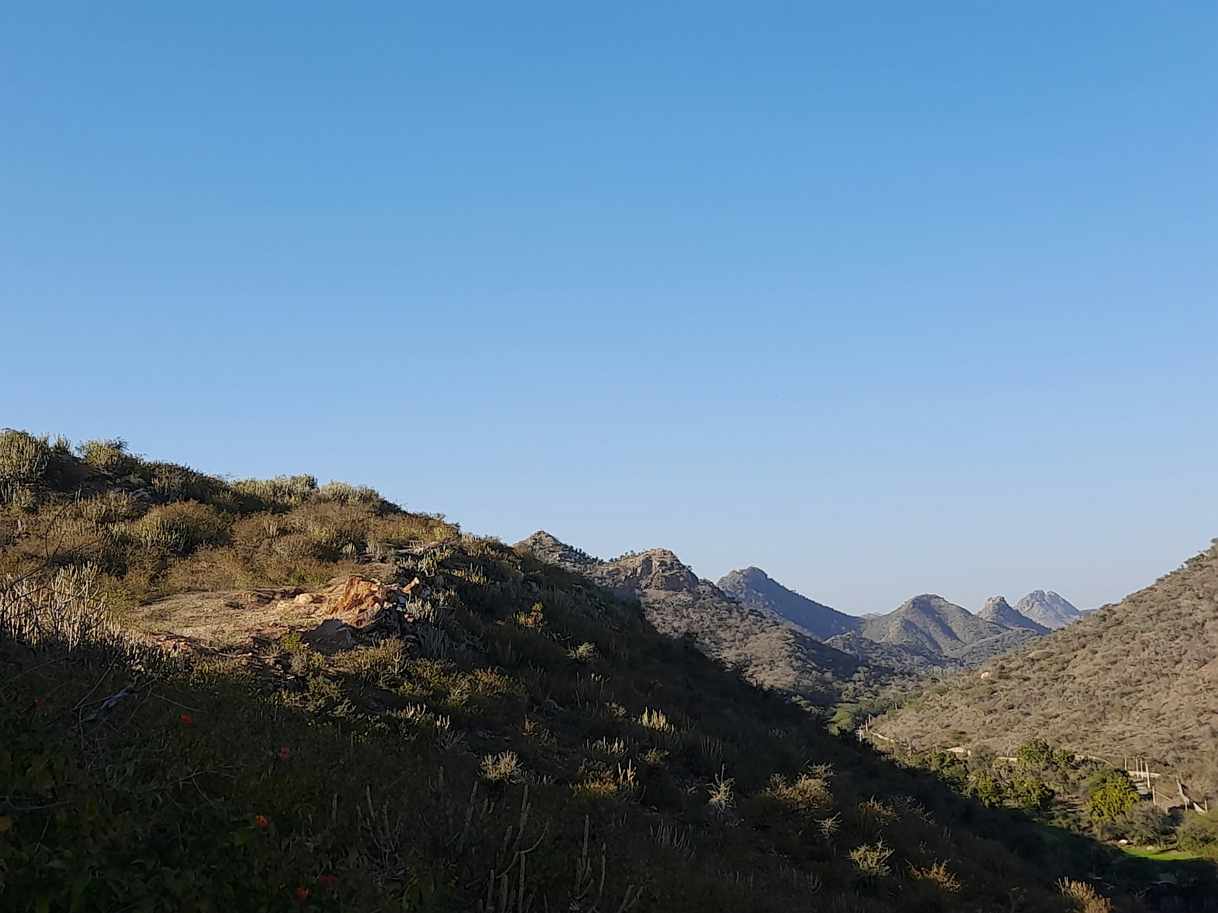 Photo by anupamkumarshakya