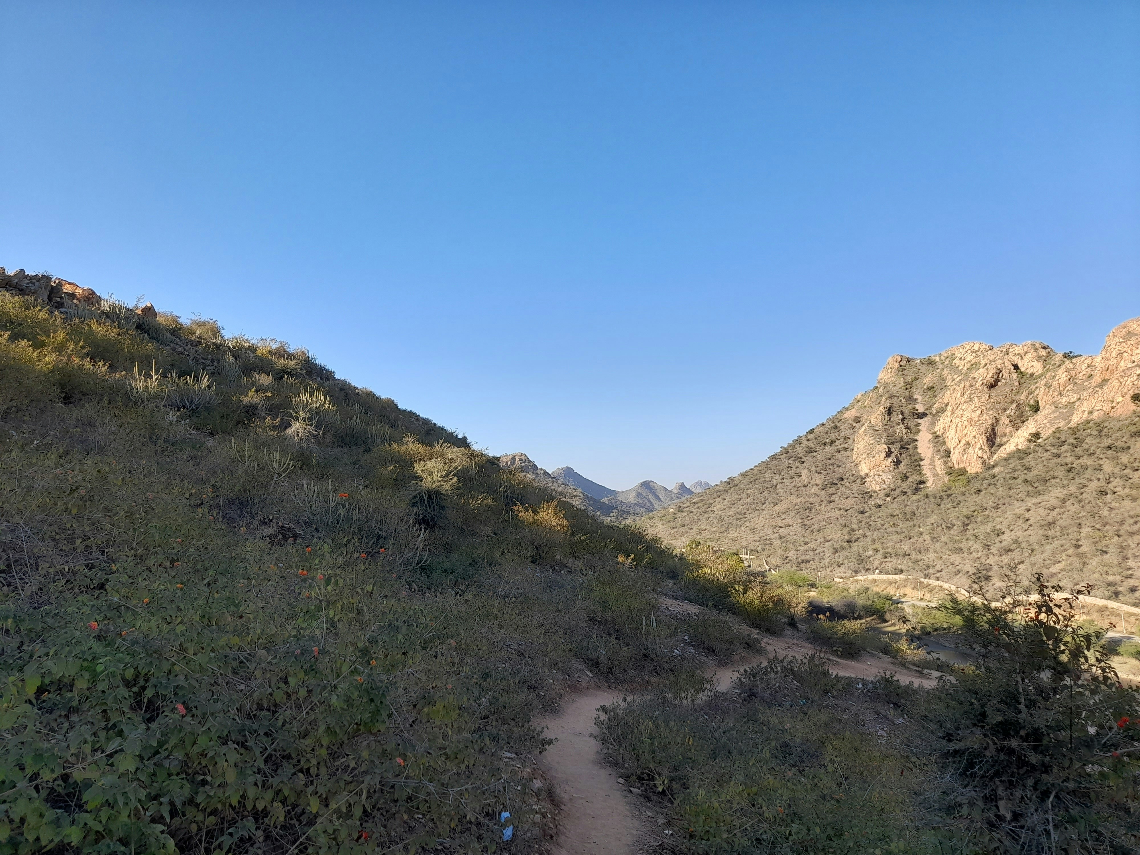 Tucson, USA (Saguaro National Park) - None