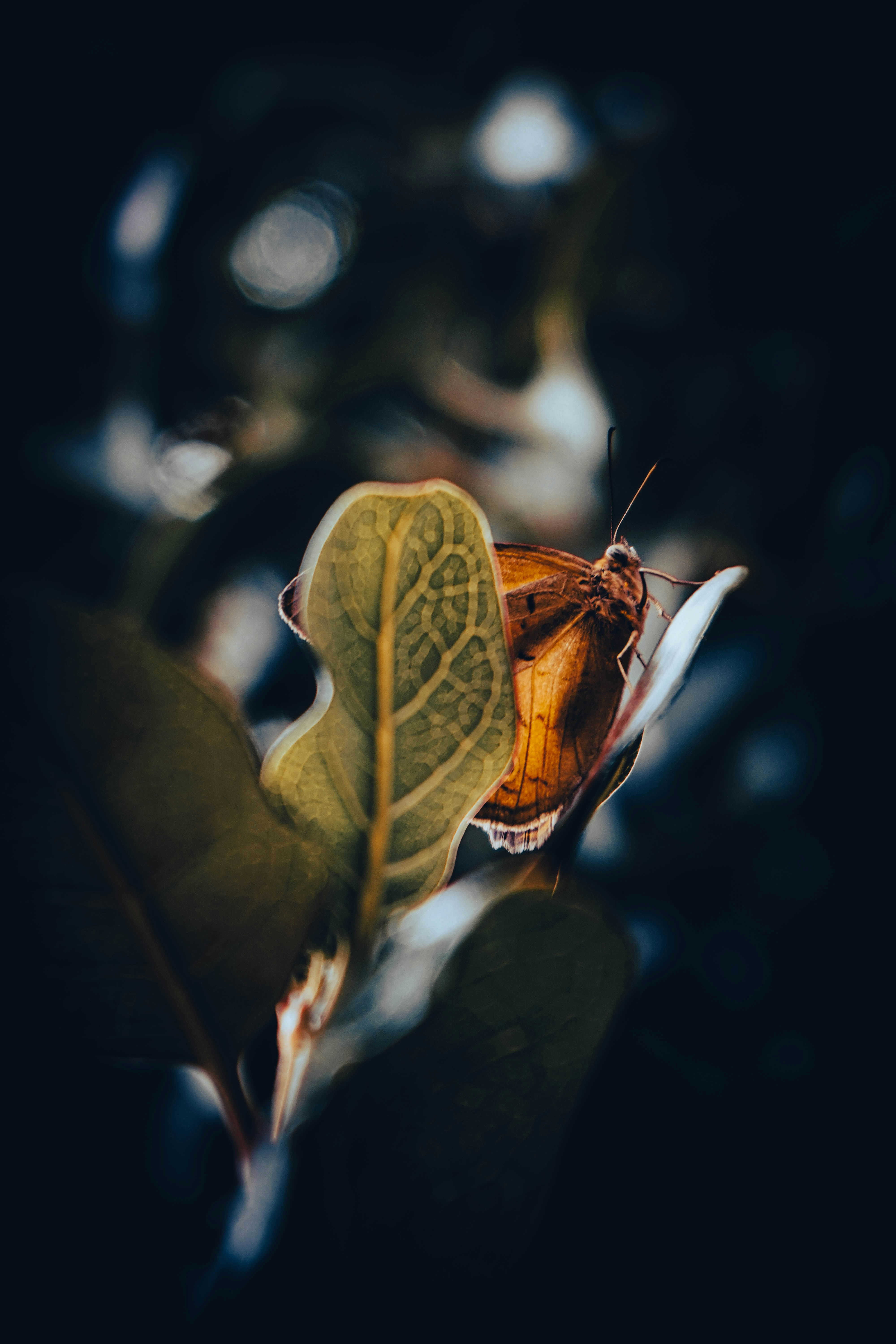 Photo by thedrinkbreak