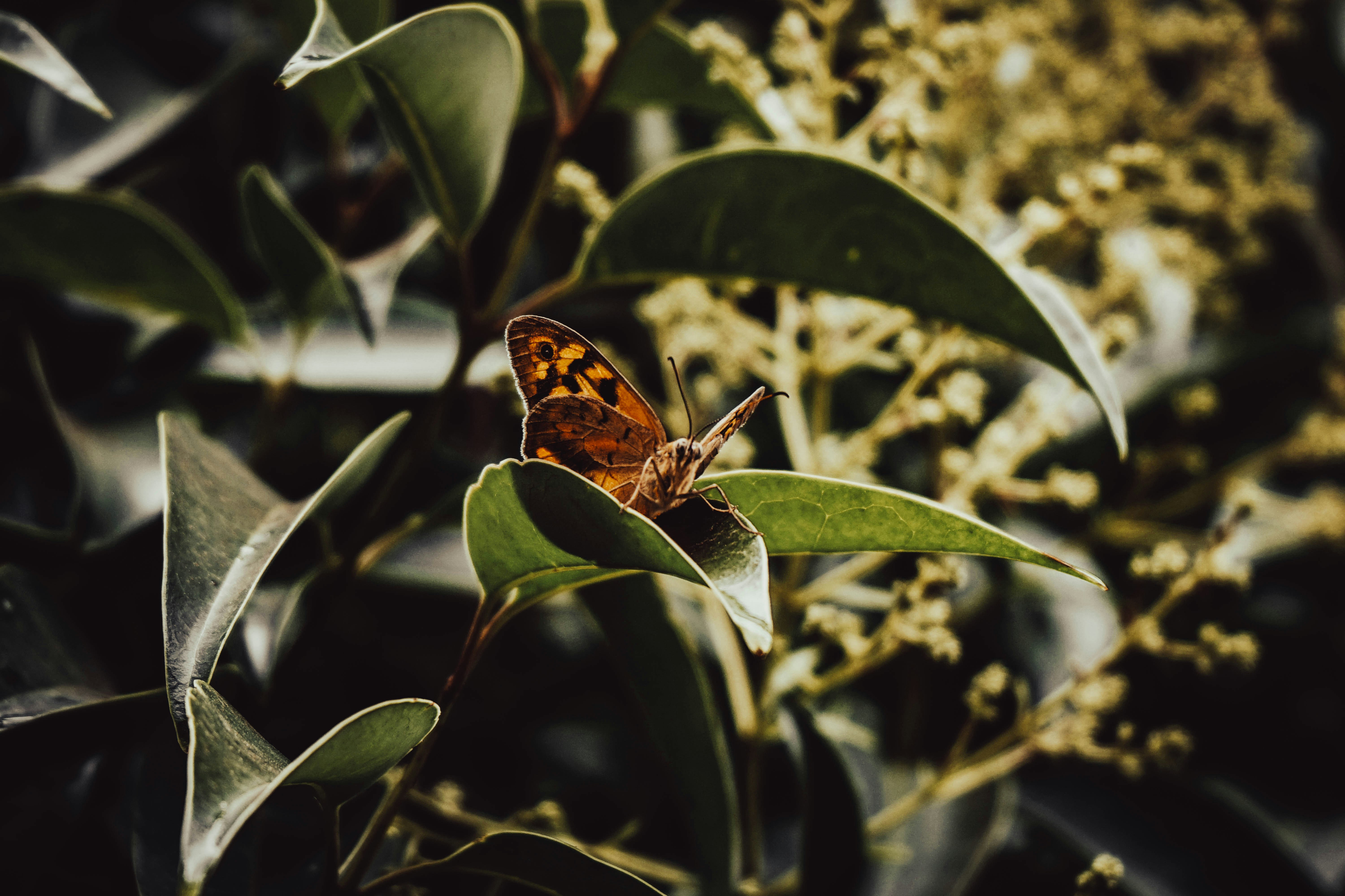 Photo by thedrinkbreak