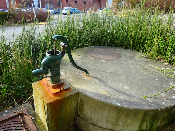 A vintage metal water pump is attached to a concrete surface, surrounded by tall green plants. The background shows a street with parked cars and a brick building. The pump is weathered, featuring a curved handle and mounted on a rust-stained base.