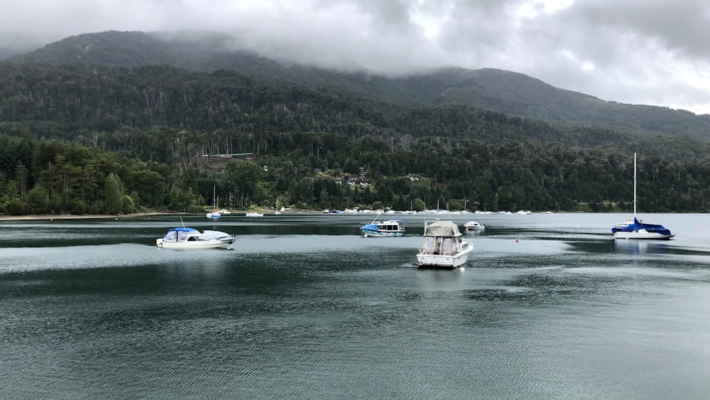 a group of boats floating on top of a lake