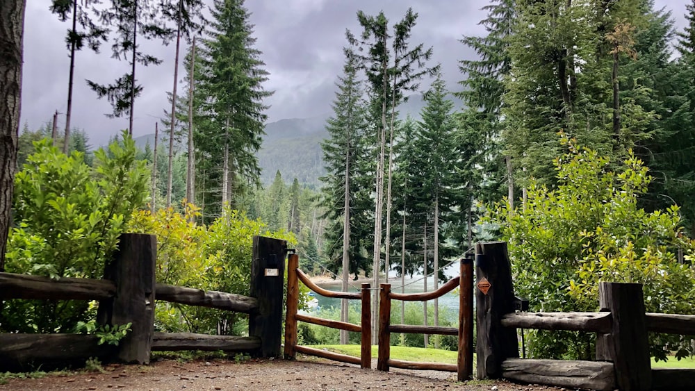 a wooden gate in the middle of a forest