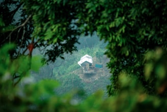 A small, white tent is set up on a slope surrounded by dense greenery. The scene conveys a sense of isolation and tranquility amidst nature, with large leafy trees framing the view.