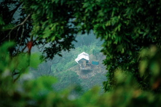 A small, white tent is set up on a slope surrounded by dense greenery. The scene conveys a sense of isolation and tranquility amidst nature, with large leafy trees framing the view.