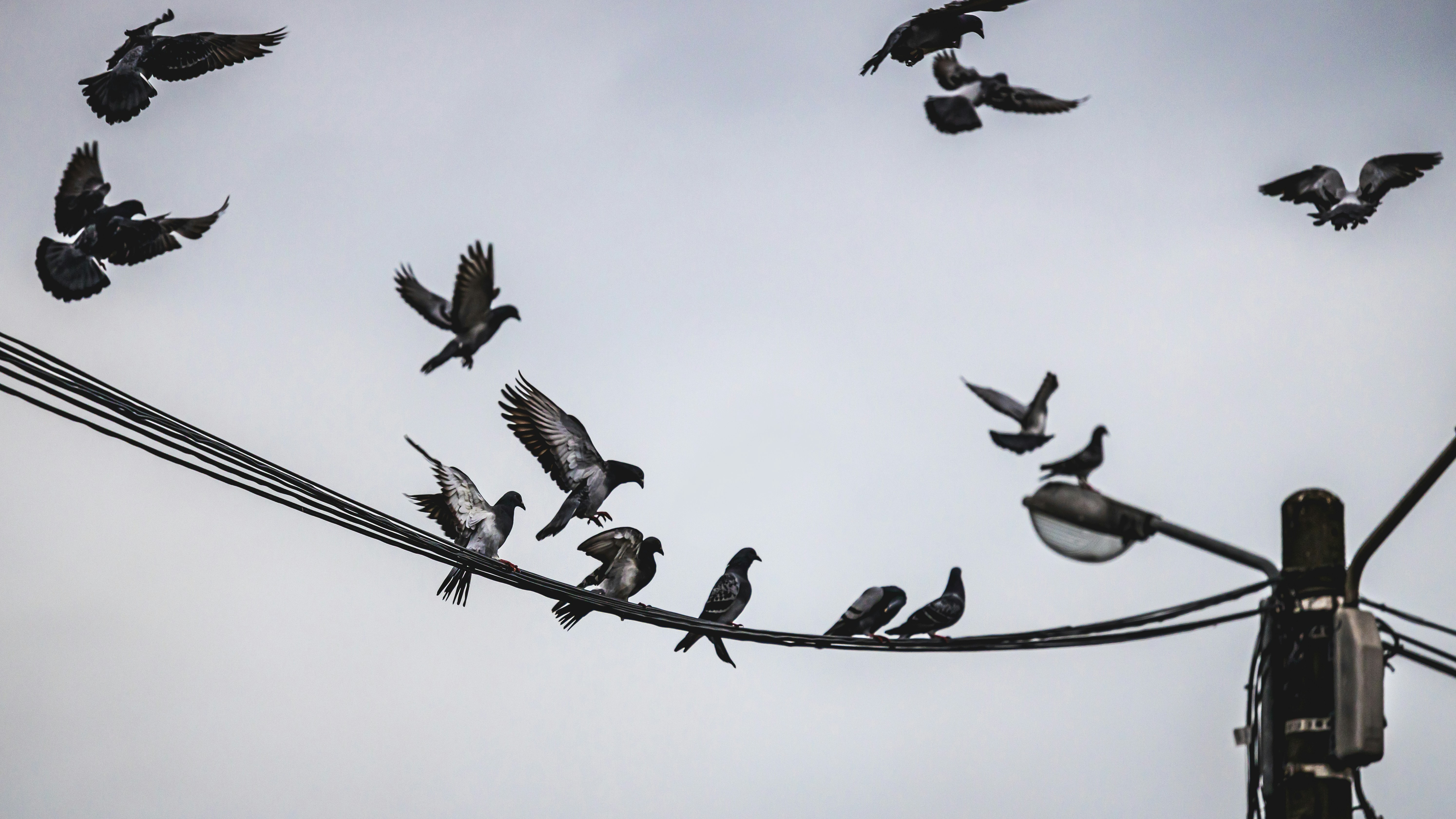 Photo by live_for_photo