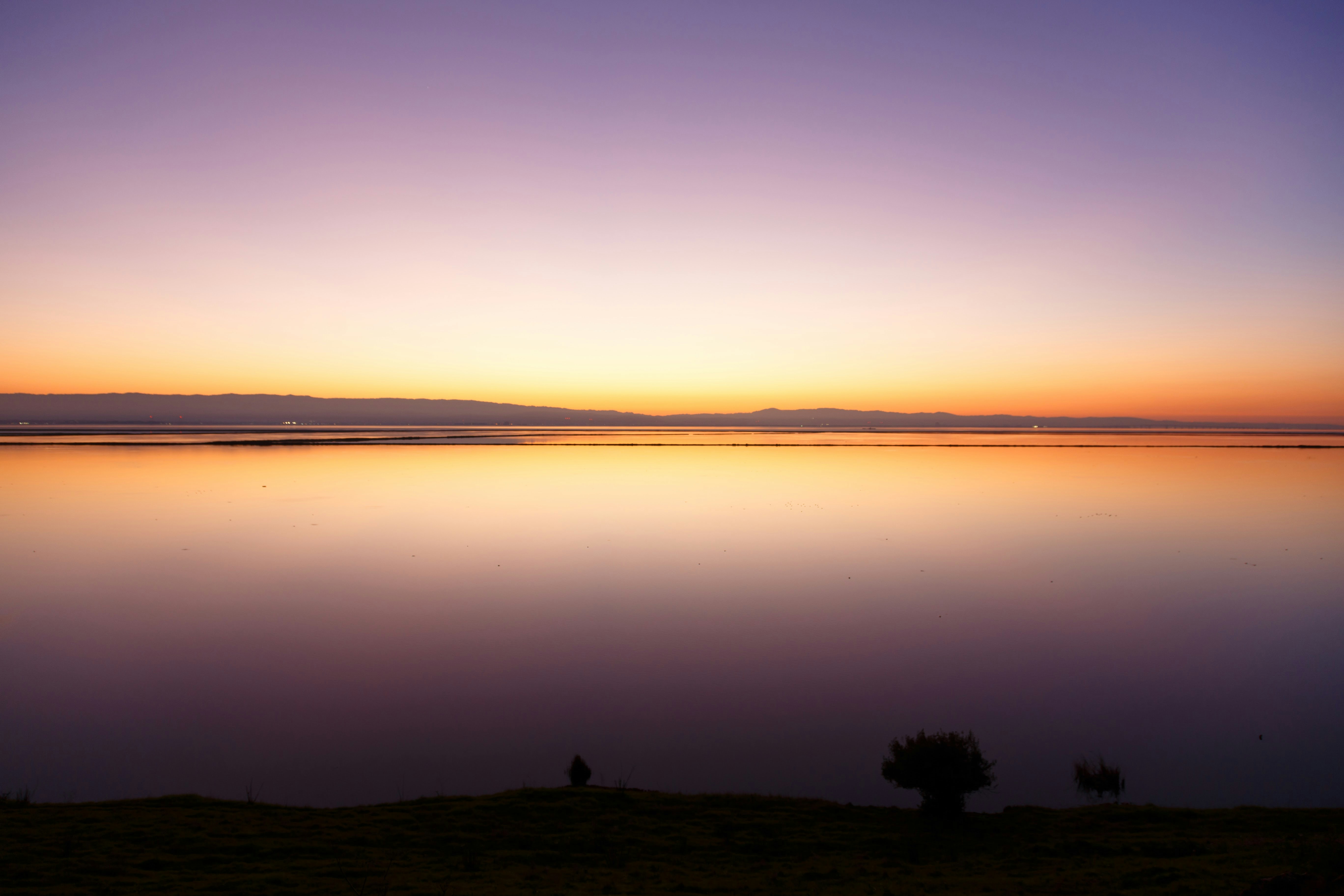 Photo by alien_roger