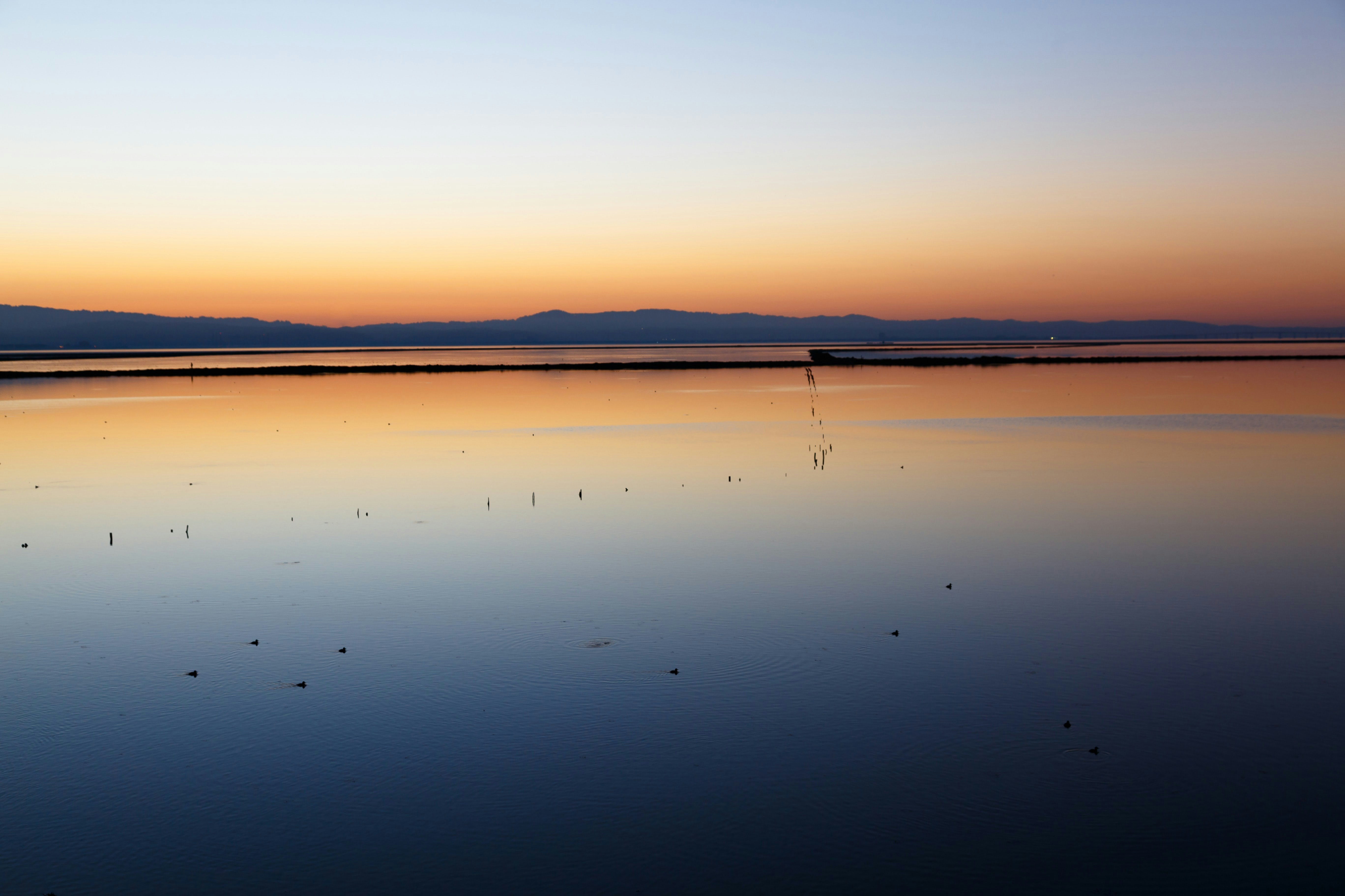 Photo by alien_roger