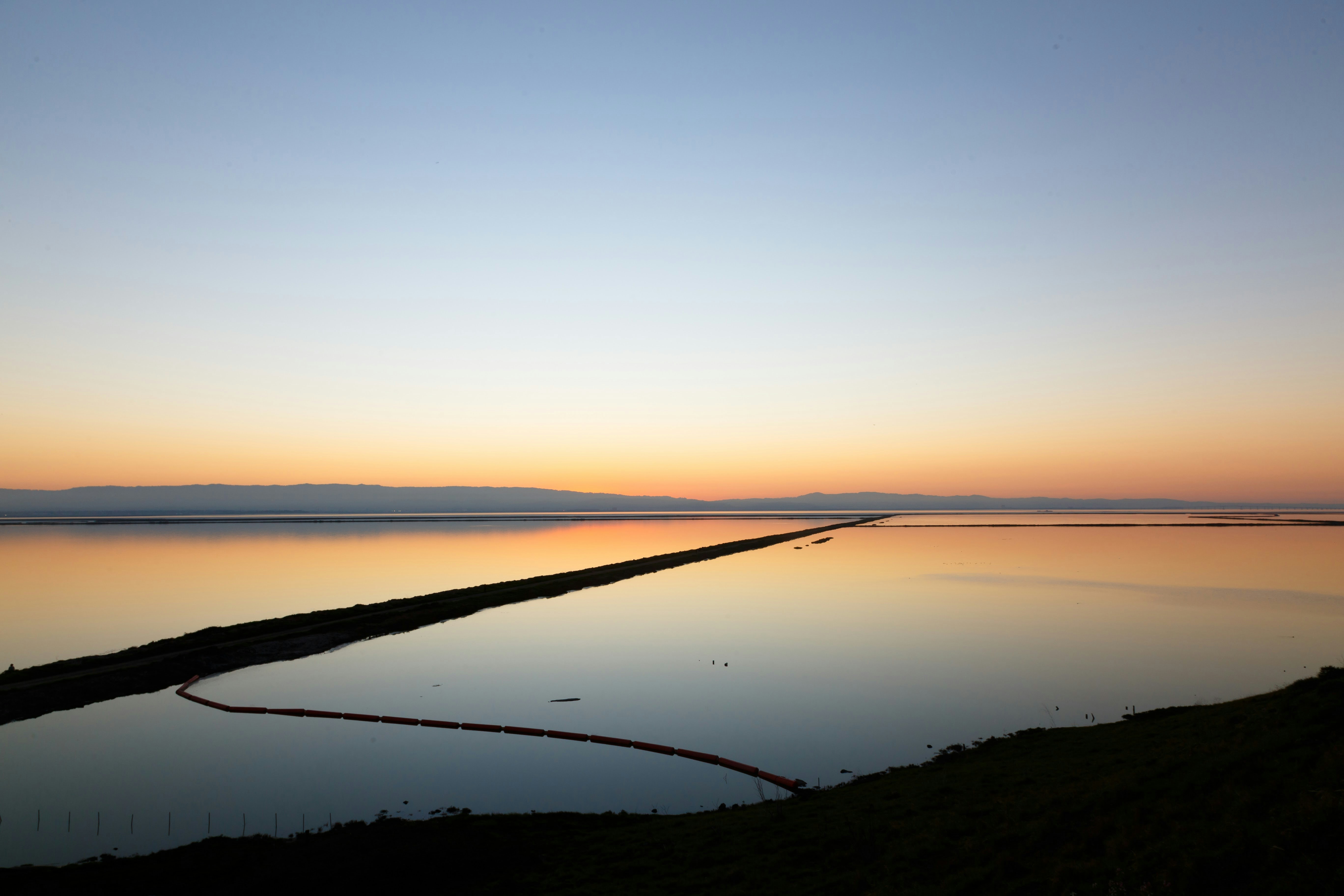 Photo by alien_roger