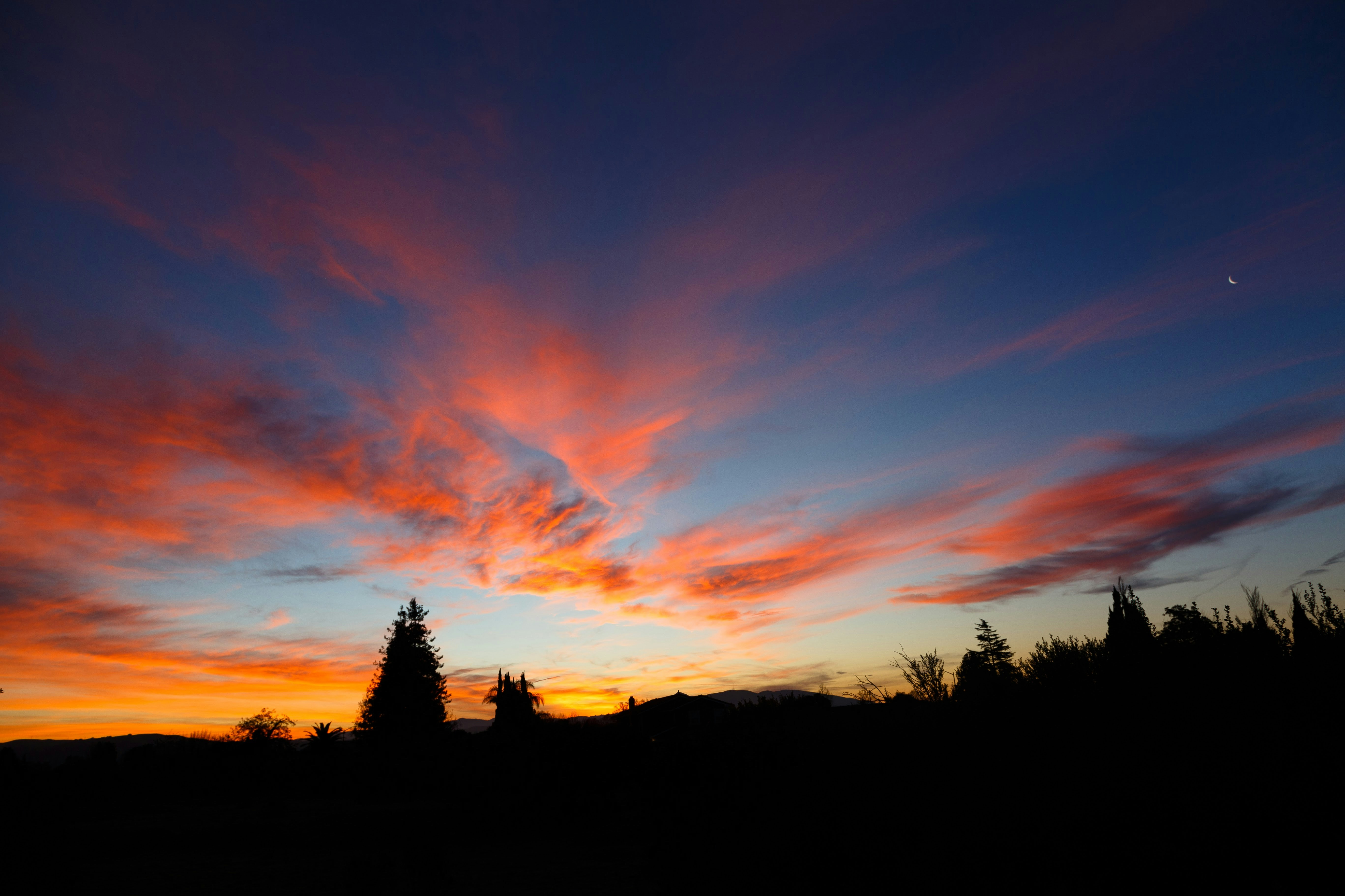 Photo by alien_roger