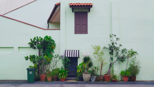 A light green exterior wall of a building features a row of potted plants with various leafy green foliage. A small door with a black and white striped awning is located to the front of the building, next to a green garbage bin. Above the door is a small window with closed shutters and a terracotta roof tile overhang.
