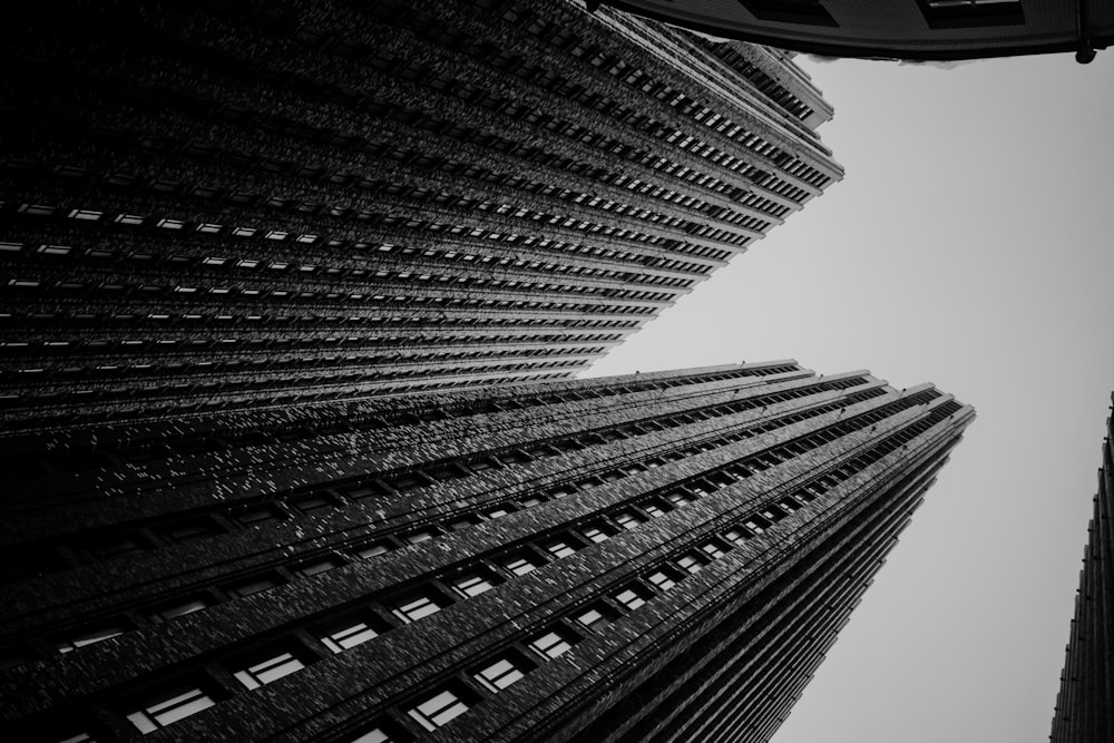 a black and white photo of tall buildings