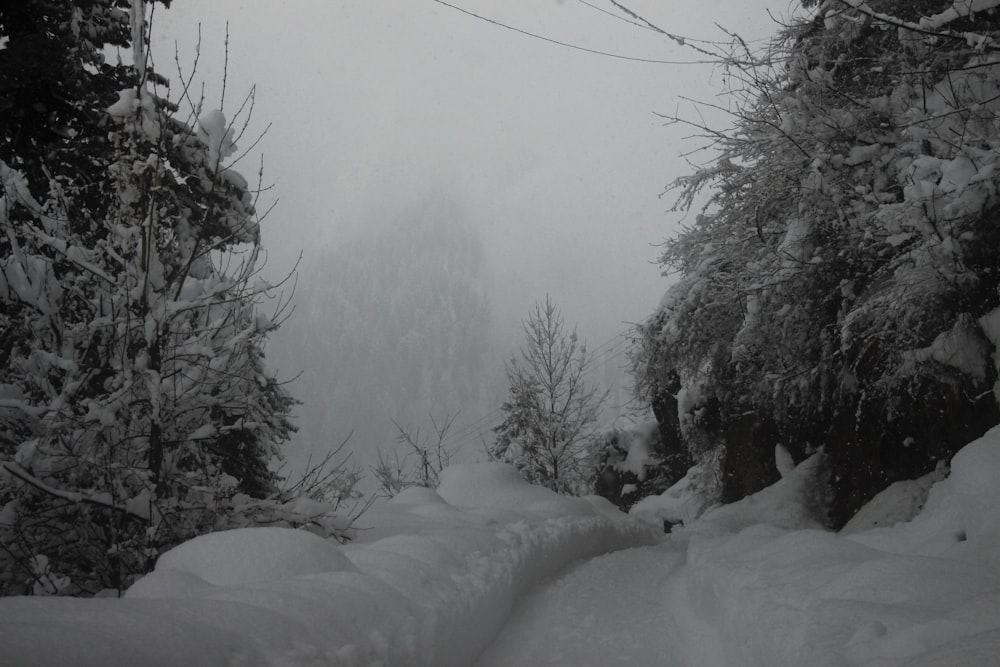 a snow covered road with trees and a mountain in the background