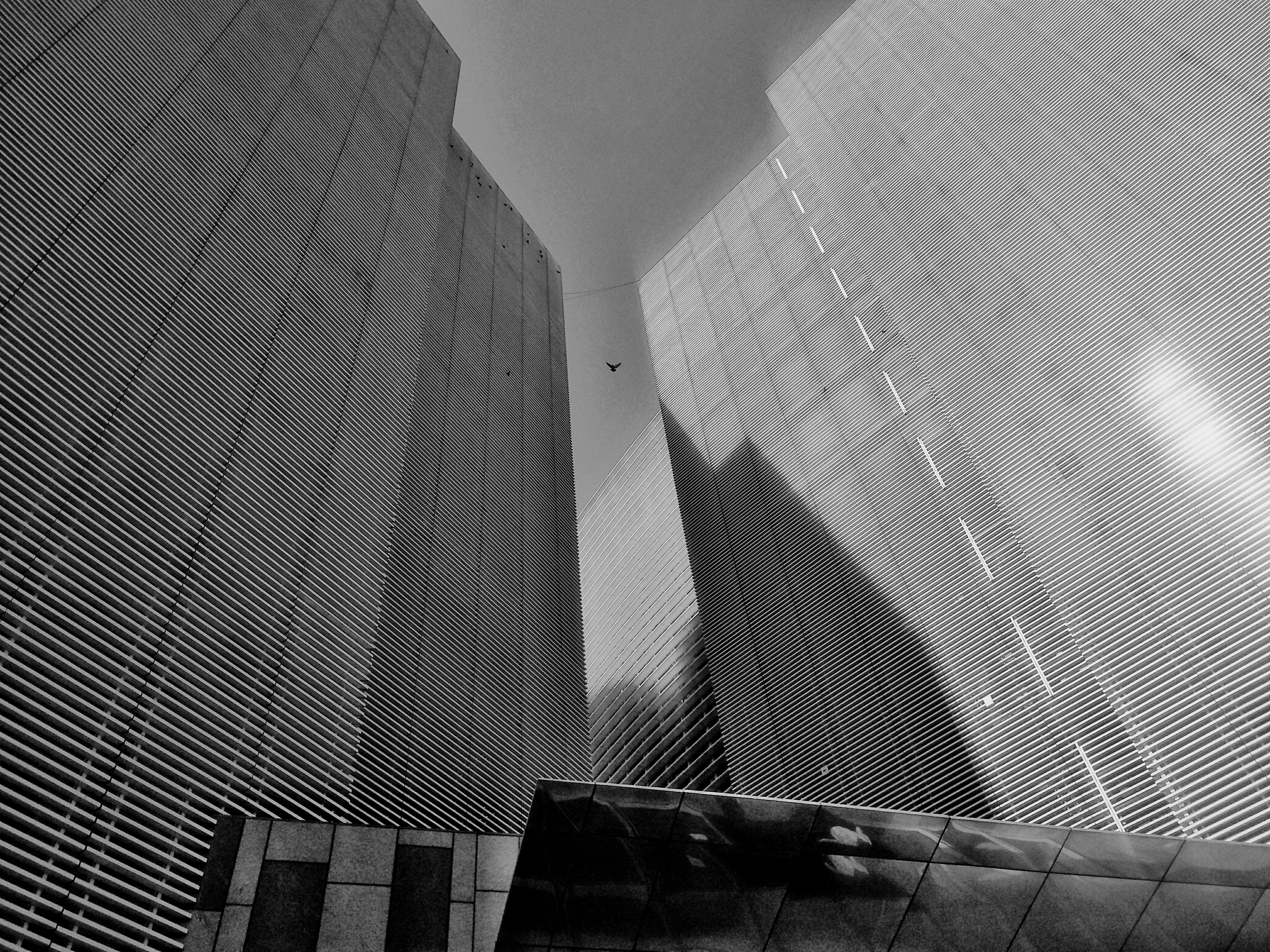 Photo by ihareshvaghela