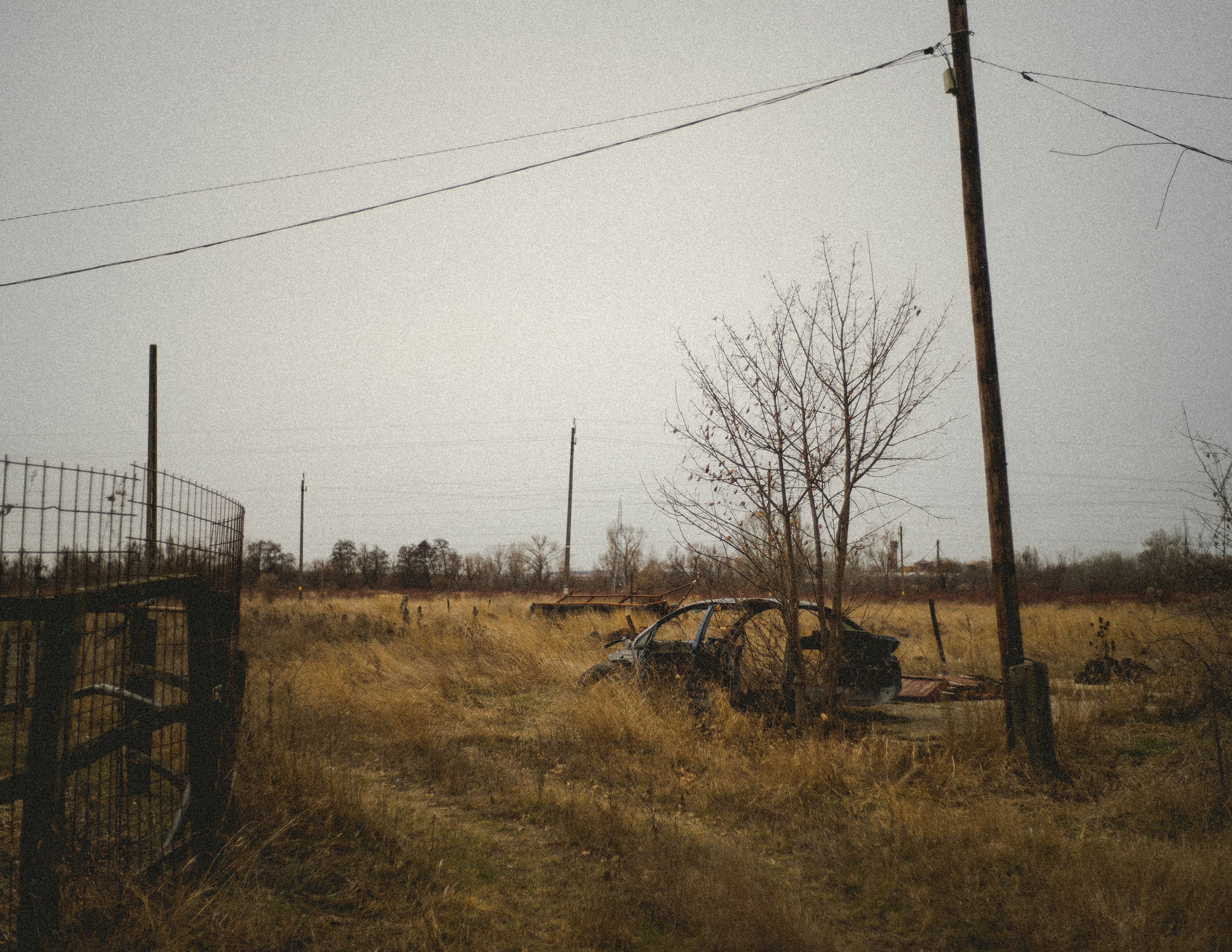 photo-1643528911149-ba108808db1d?ixid=M3wxMjA3fDB8MXxzZWFyY2h8MTh8fCVEMCVCMyVEMCVCNCVEMCVCNSUyMCVEMCVCQyVEMCVCRSVEMCVCNiVEMCVCRCVEMCVCRSUyMCVEMSU4MSVEMCVCQyVEMCVCRSVEMSU4MiVEMSU4MCVEMCVCNSVEMSU4MiVEMSU4QyUyMCVEMSU4MCVEMSU4MyVEMSU4MSVEMSU4MSVEMCVCQSVEMCVCOCVEMCVCNSUyMCVEMSU4MSVEMCVCNSVEMSU4MCVEMCVCOCVEMCVCMCVEMCVCQiVEMSU4QiUyMCVEMCVCMSVEMCVCNSVEMSU4MSVEMCVCRiVEMCVCQiVEMCVCMCVEMSU4MiVEMCVCRCVEMCVCRXxlbnwwfHx8fDE3NTMzNzEwNDV8MA\u0026ixlib=rb-4.1.0