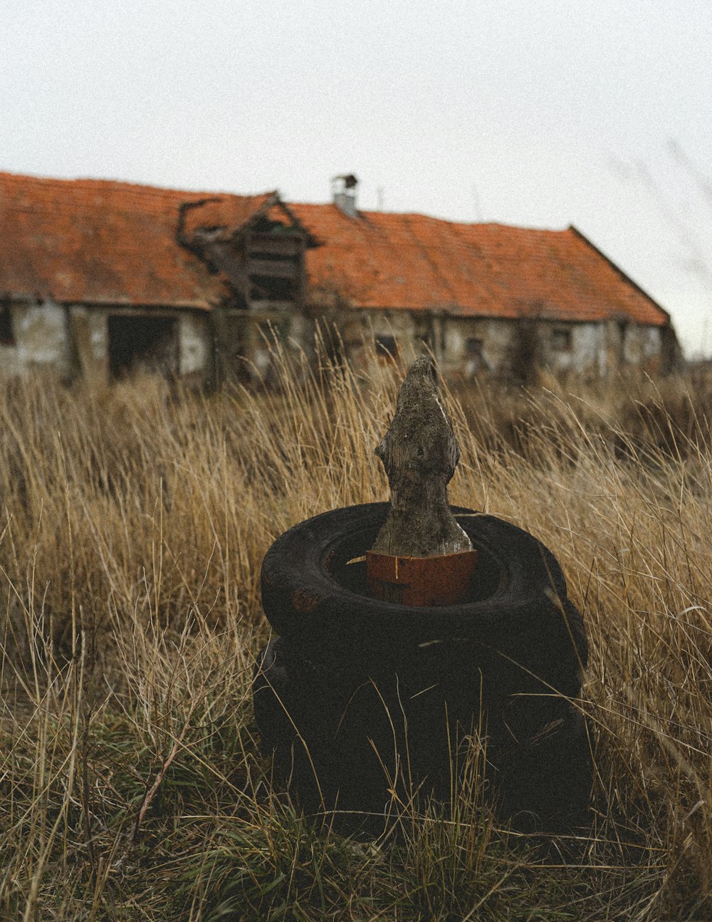 Un neumático viejo sentado en medio de un campo