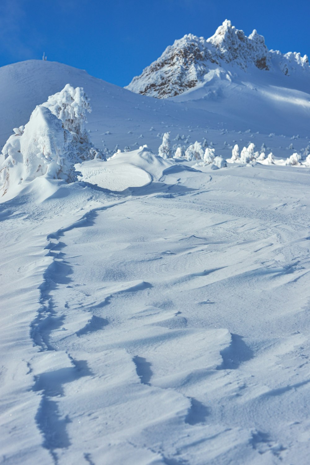 a man riding skis down a snow covered slope