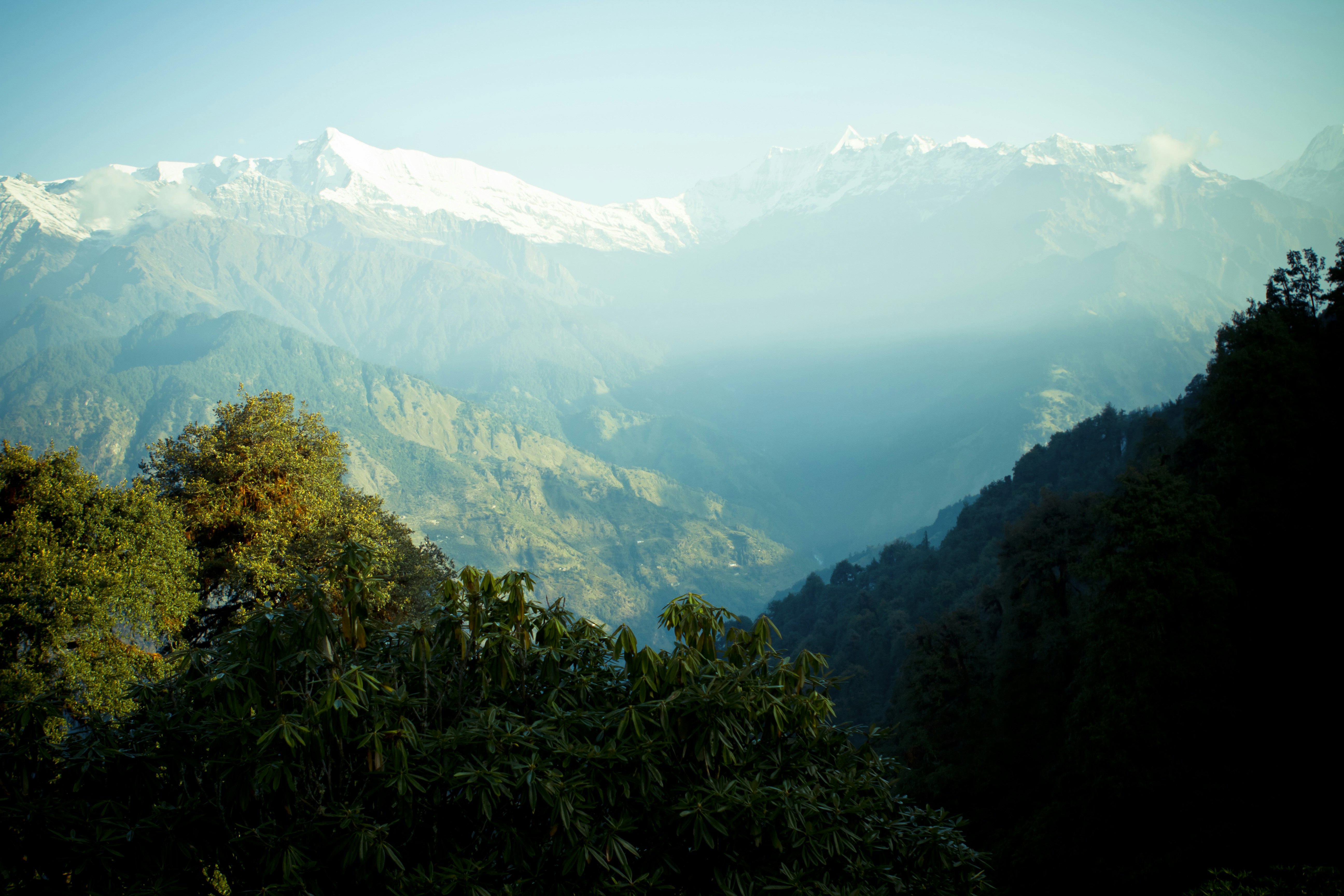 Photo by raimondklavins