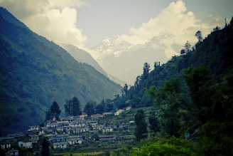 A serene hillside village surrounded by lush green vegetation and tall trees, with rows of quaint houses nestled in the landscape. In the background, majestic mountains peek through a veil of clouds, creating a stunning natural backdrop.