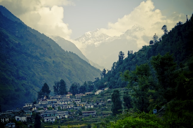 A peaceful Himachal village nestled among pine trees and rolling hills.