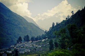 A peaceful Himachal village nestled among pine trees and rolling hills.