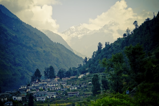 A serene hillside village surrounded by lush green vegetation and tall trees, with rows of quaint houses nestled in the landscape. In the background, majestic mountains peek through a veil of clouds, creating a stunning natural backdrop.