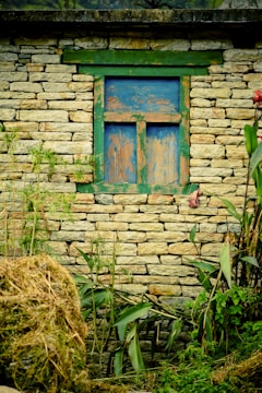 A rustic stone wall features a weathered window with green and blue peeling paint. Surrounding the base of the wall is a collection of lush greenery, including tall plants and grass. The overall scene conveys a sense of nature reclaiming the structure.