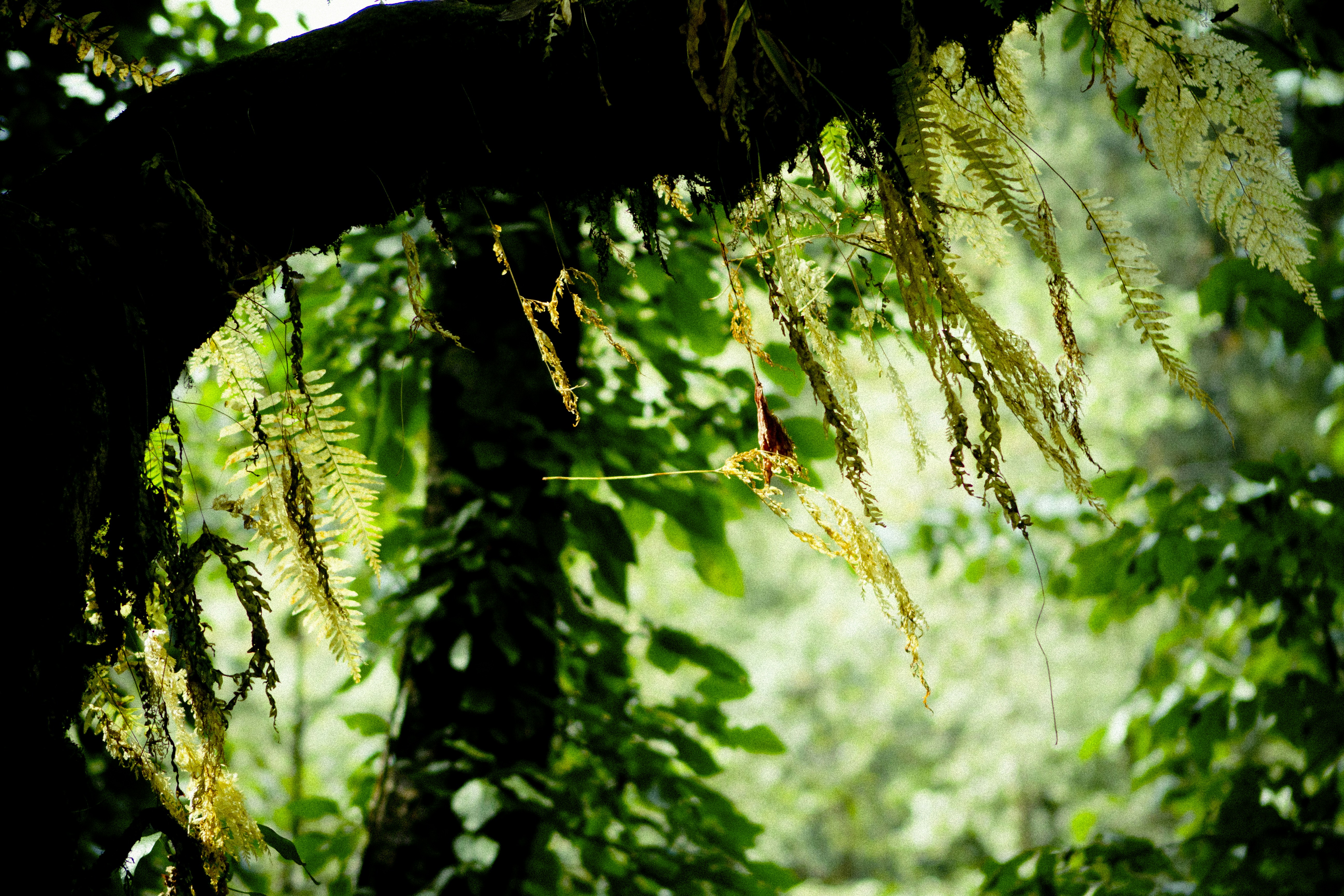 Photo by raimondklavins