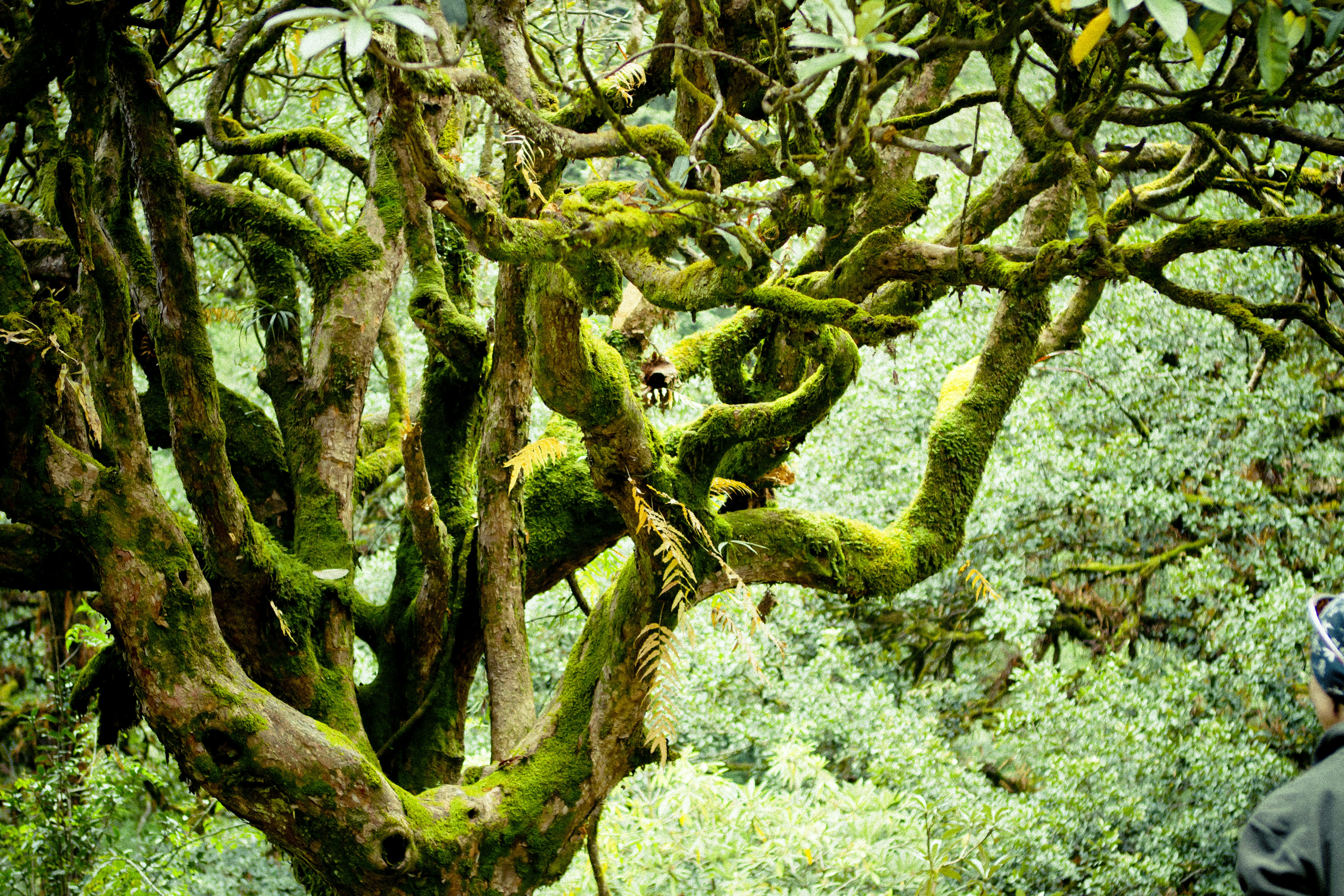 Photo by raimondklavins