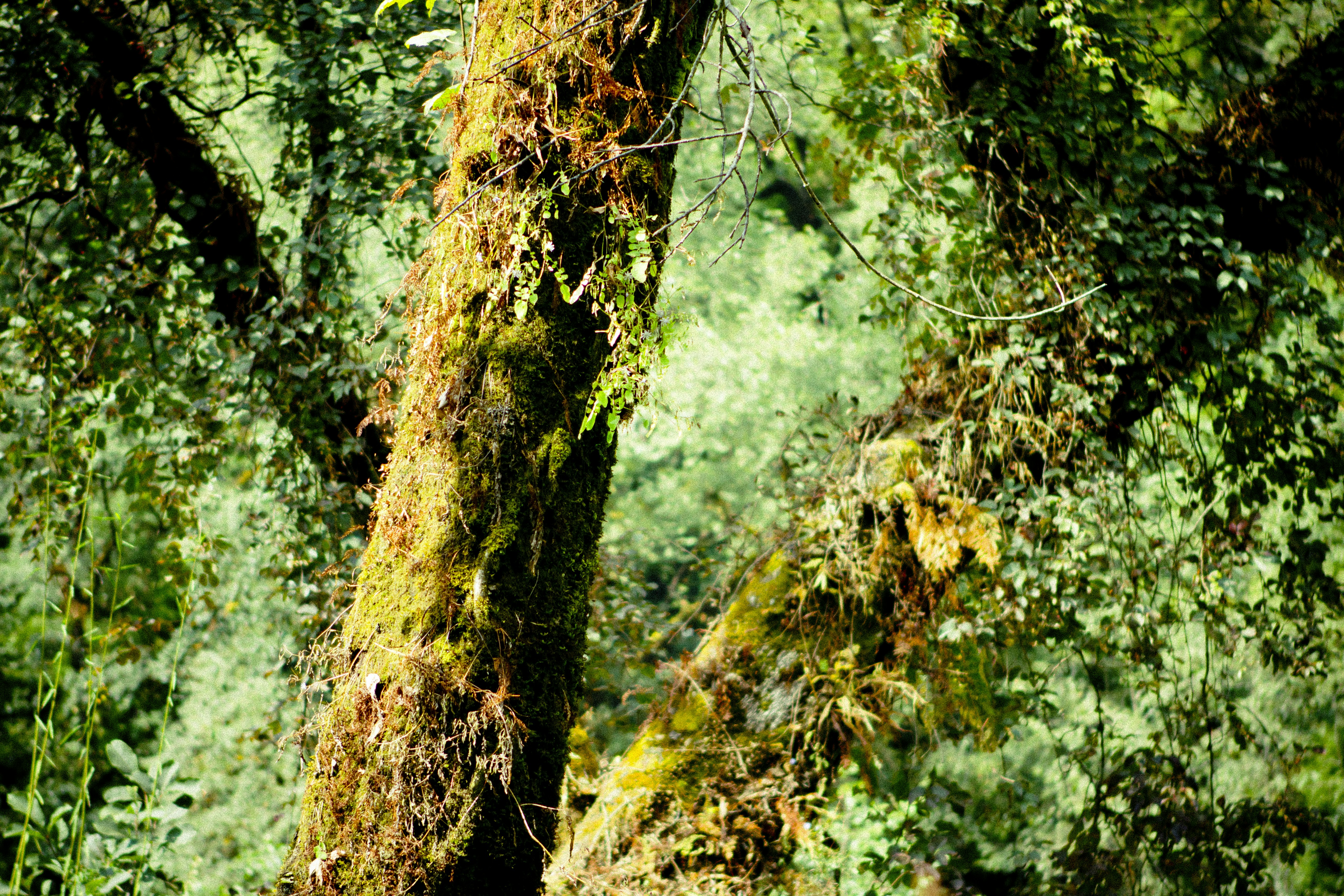 Photo by raimondklavins