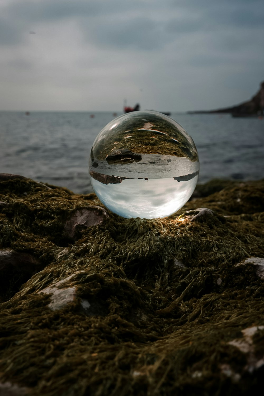 a glass ball sitting on top of a moss covered rock