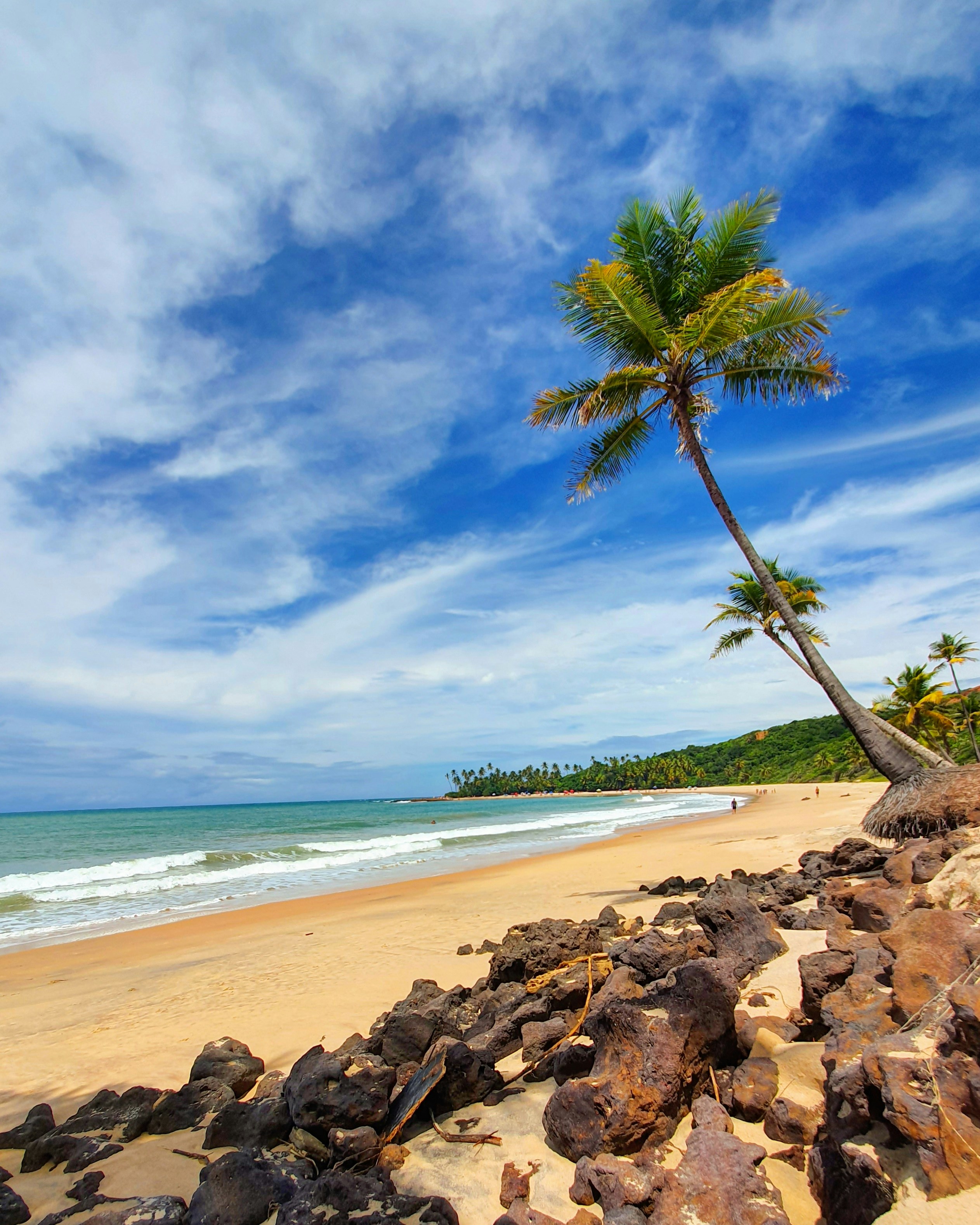 Photo by felipefersilva