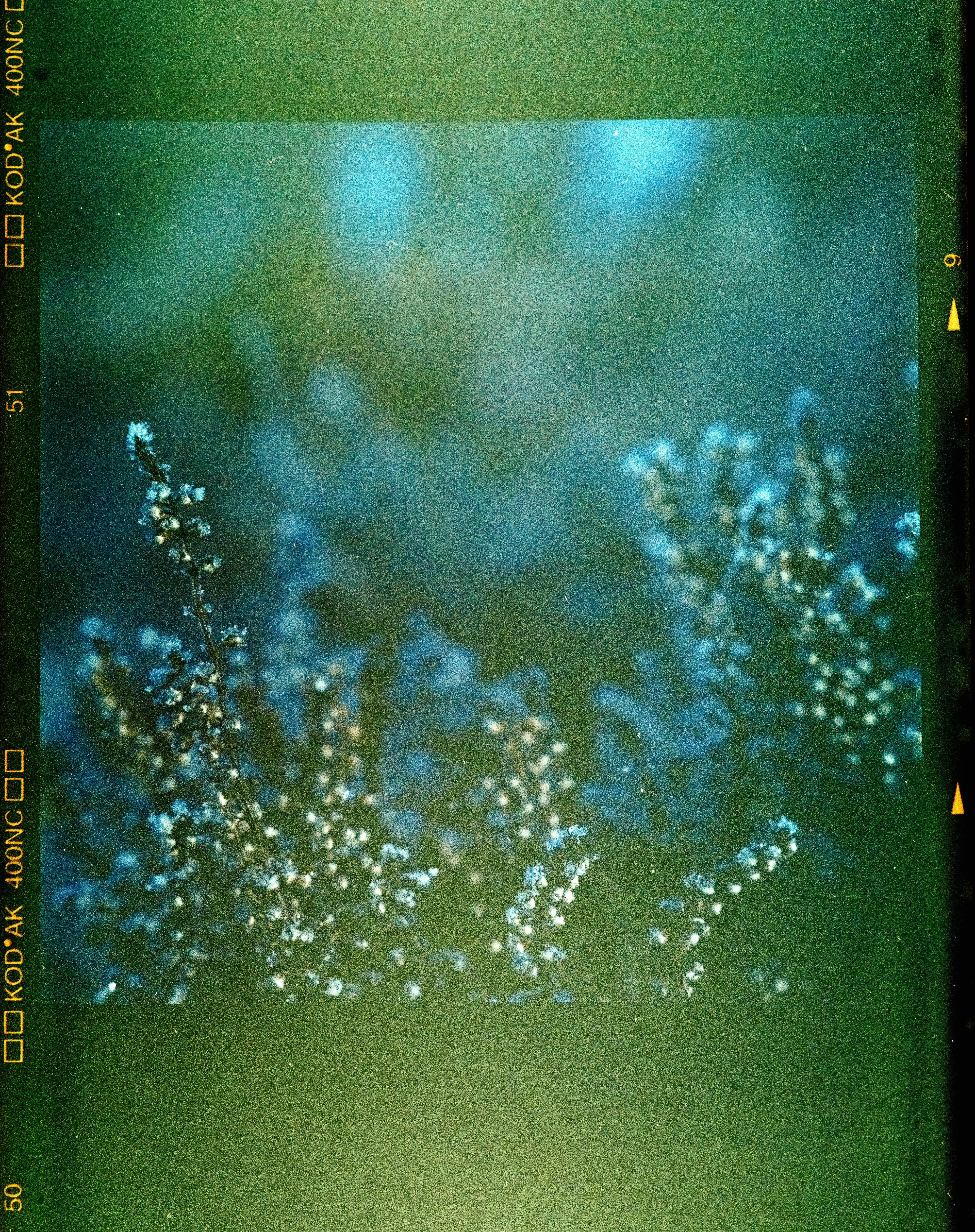 Photo by anniespratt