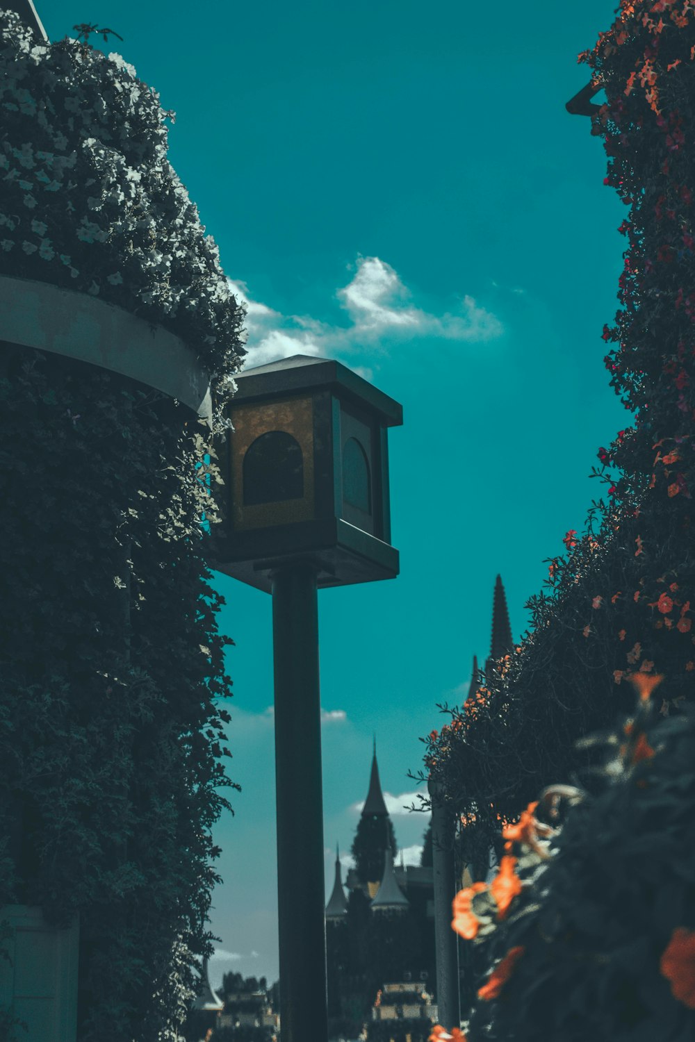 a clock tower in the middle of a street