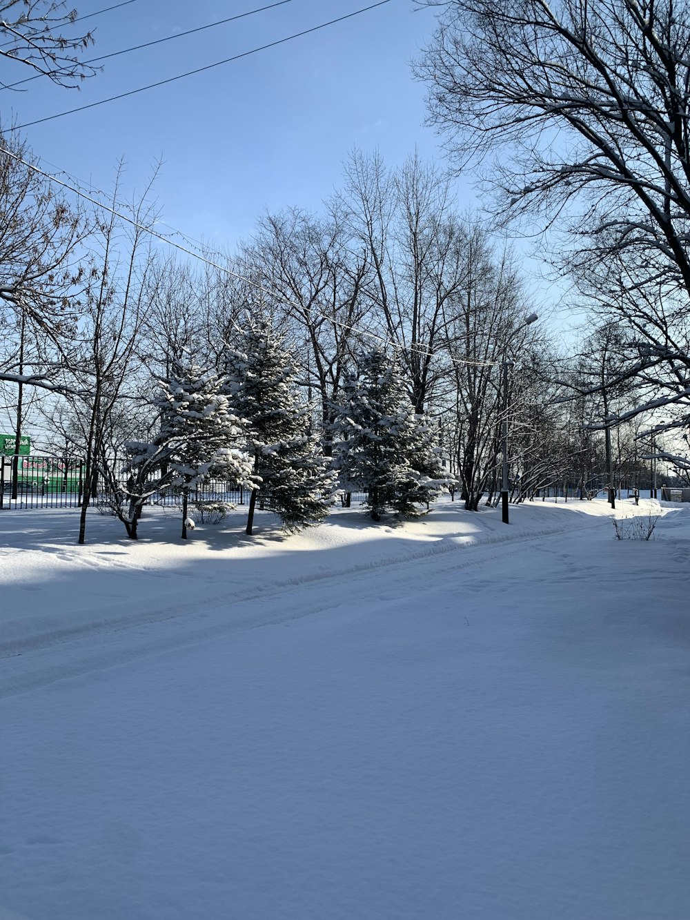 a snow covered street with trees and power lines